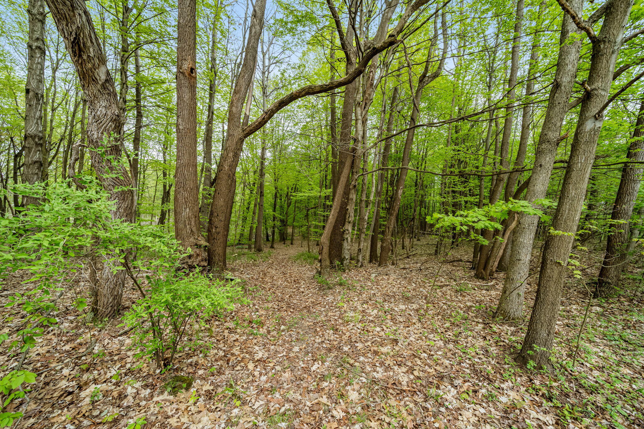 18731 Williamsville Street Cassopolis MI 49031