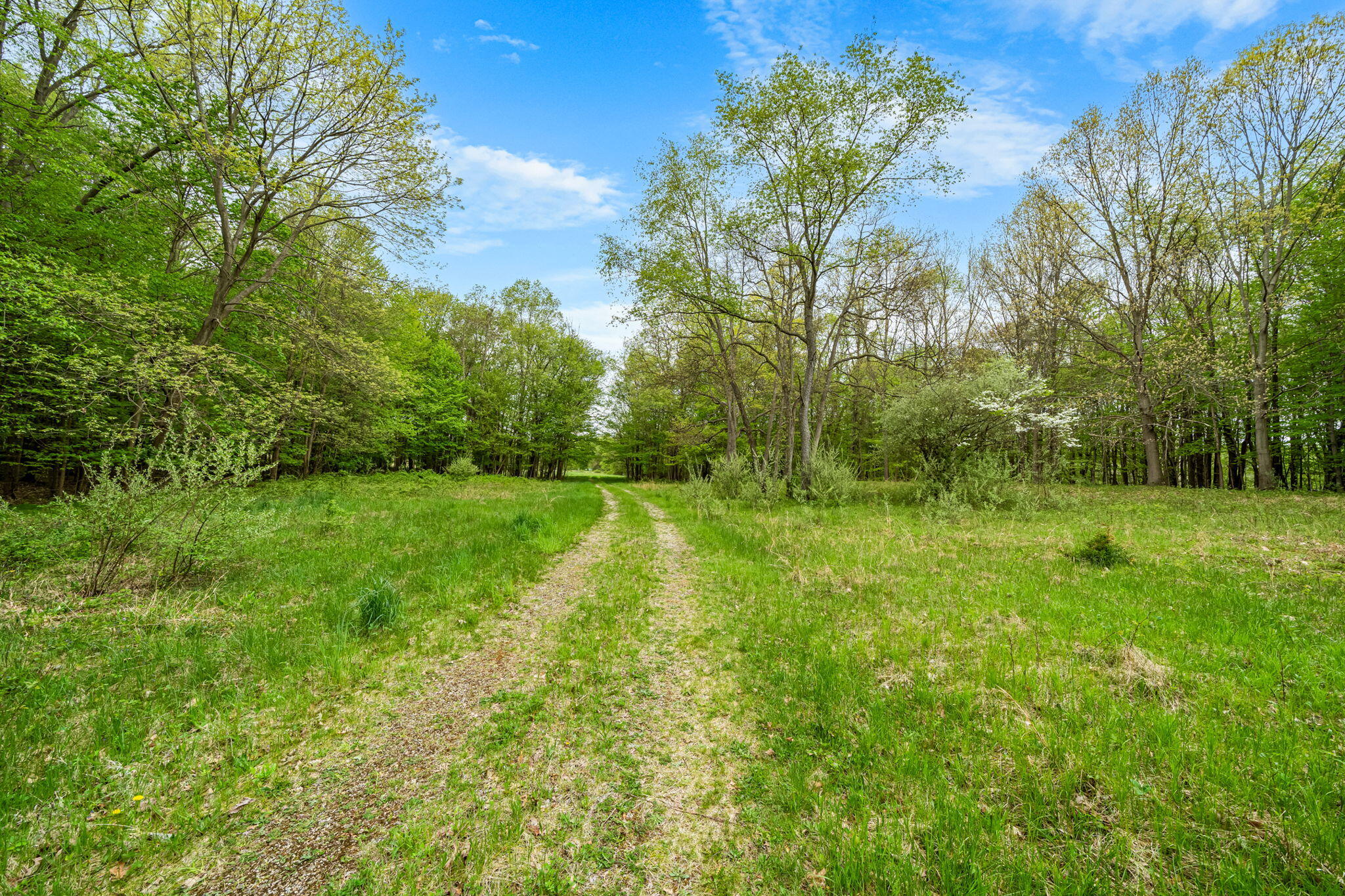 18731 Williamsville Street Cassopolis MI 49031