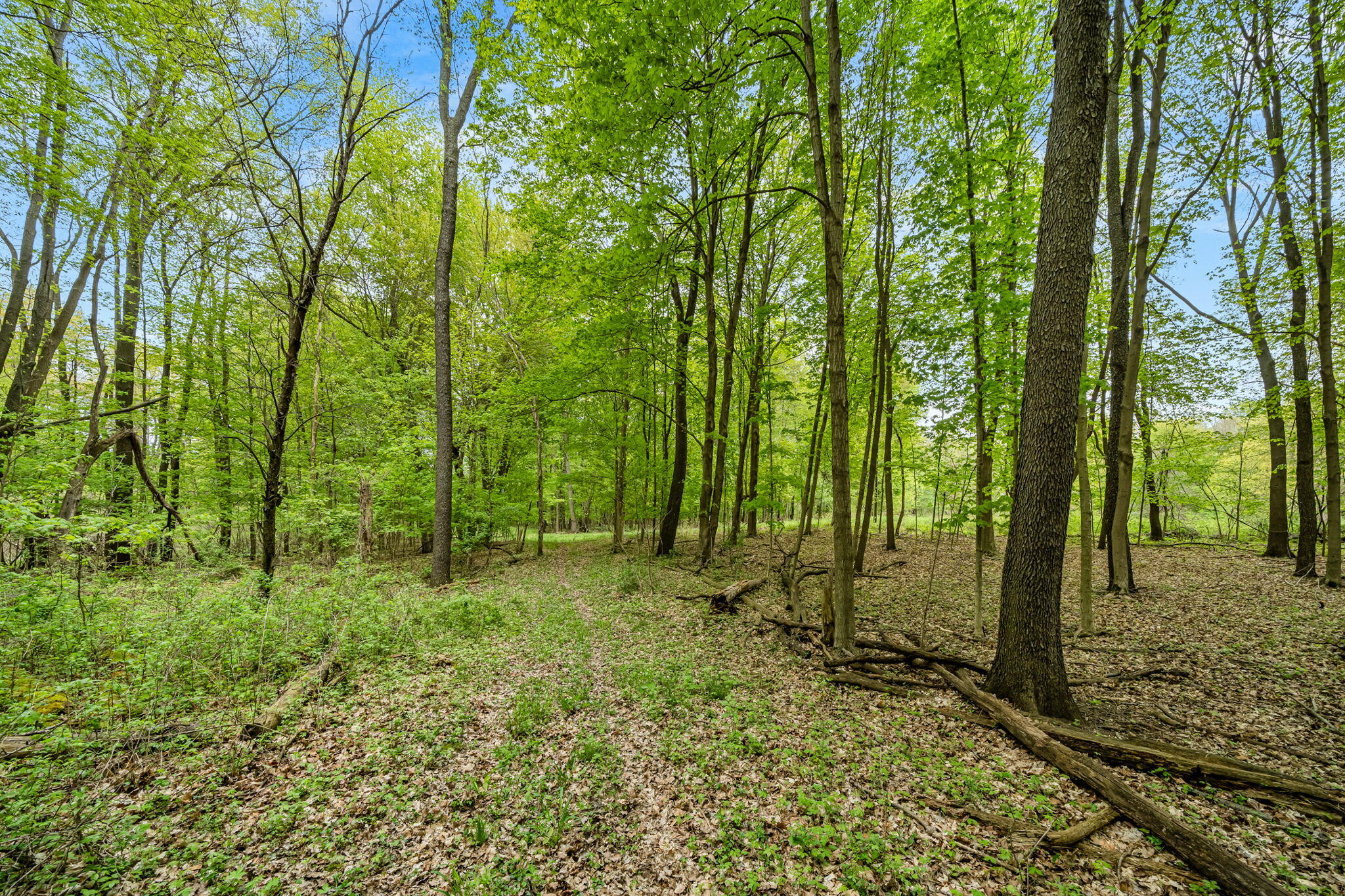18731 Williamsville Street Cassopolis MI 49031