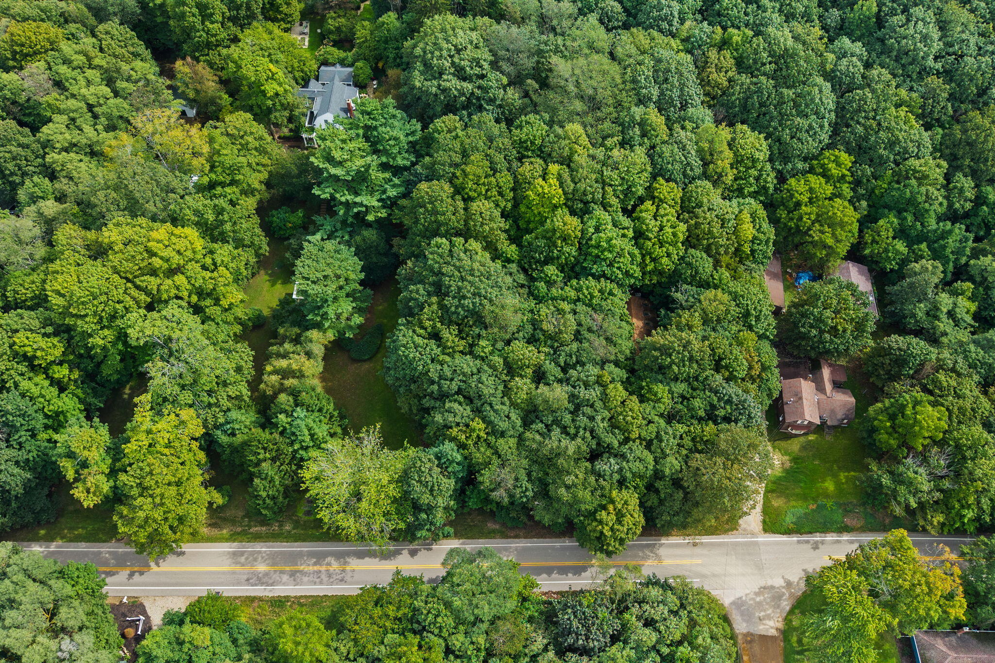 Vl 70th (Lakeshore Drive) Fennville MI 49408