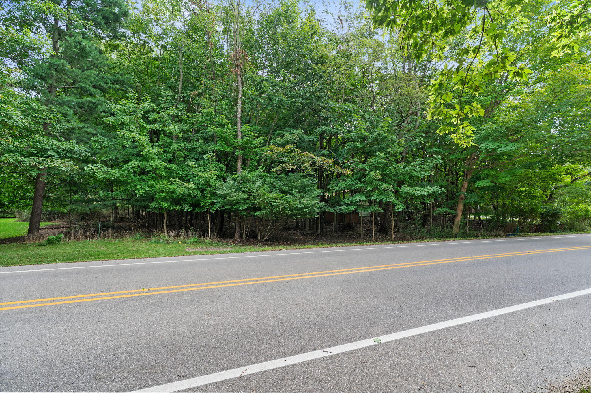 Vl 70th (Lakeshore Drive) Fennville MI 49408