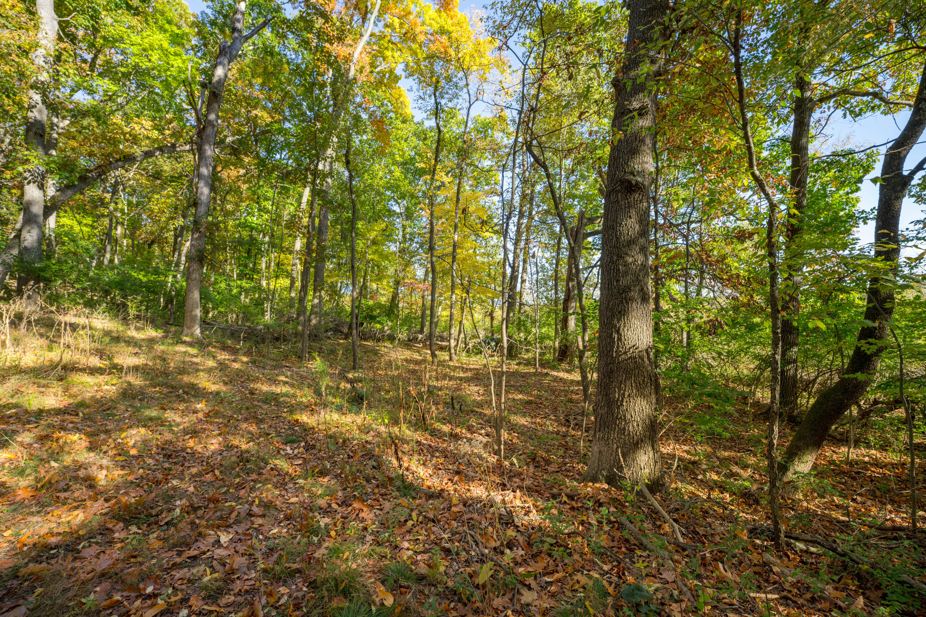 8282 Waterwood Drive Kalamazoo MI 49048