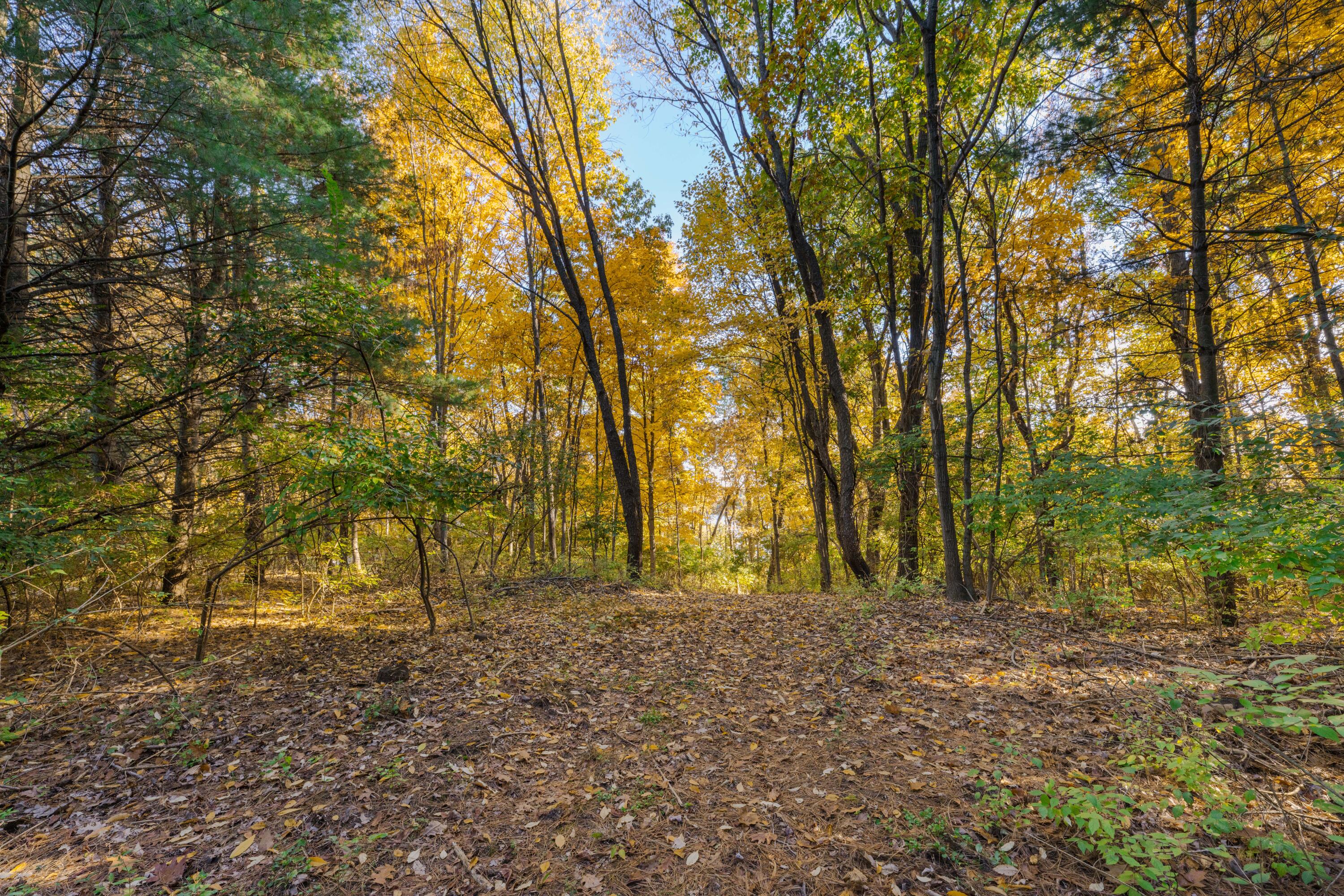 8282 Waterwood Drive Kalamazoo MI 49048
