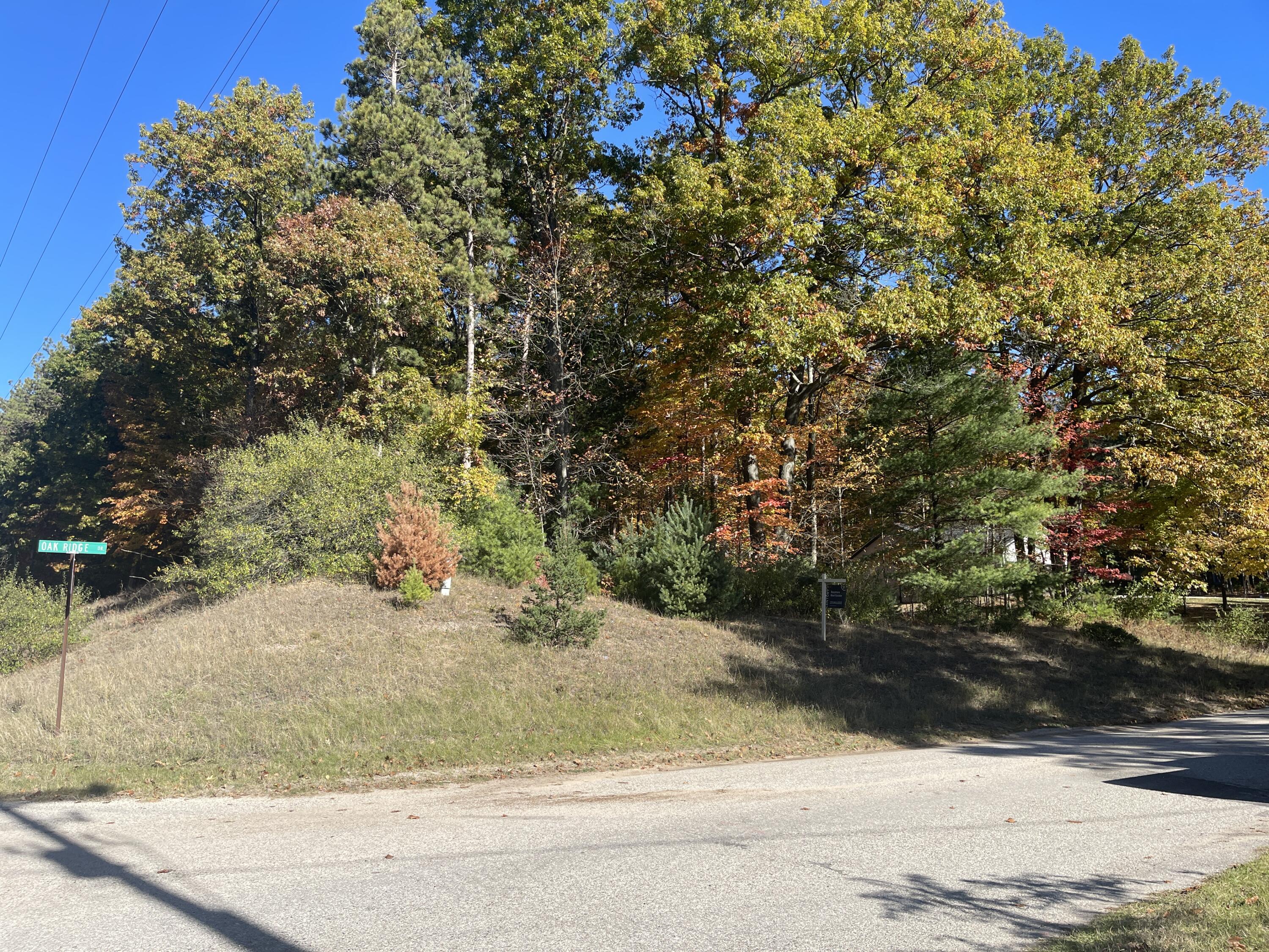 Oakridge Drive Ludington MI 49431