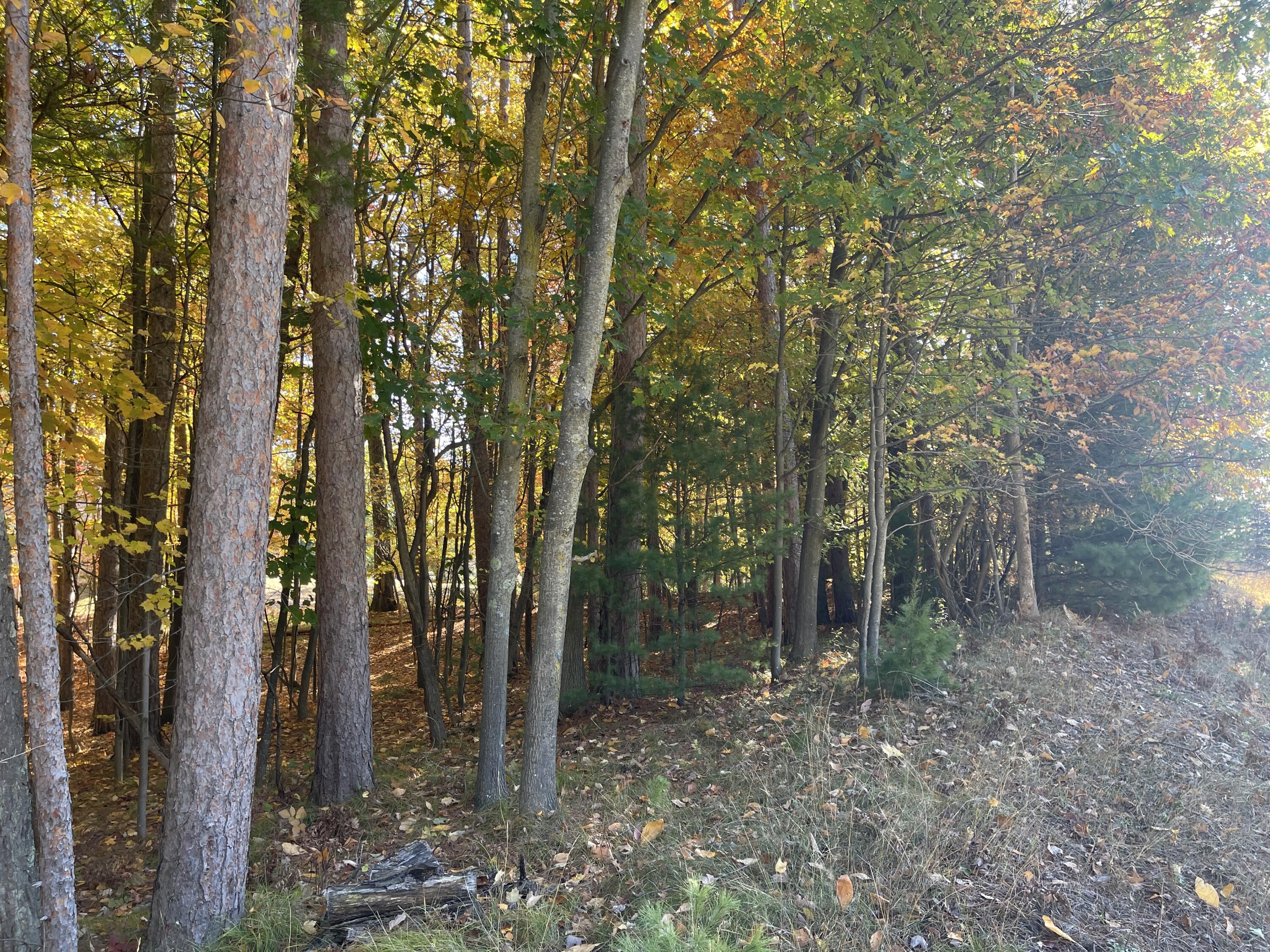 Oakridge Drive Ludington MI 49431