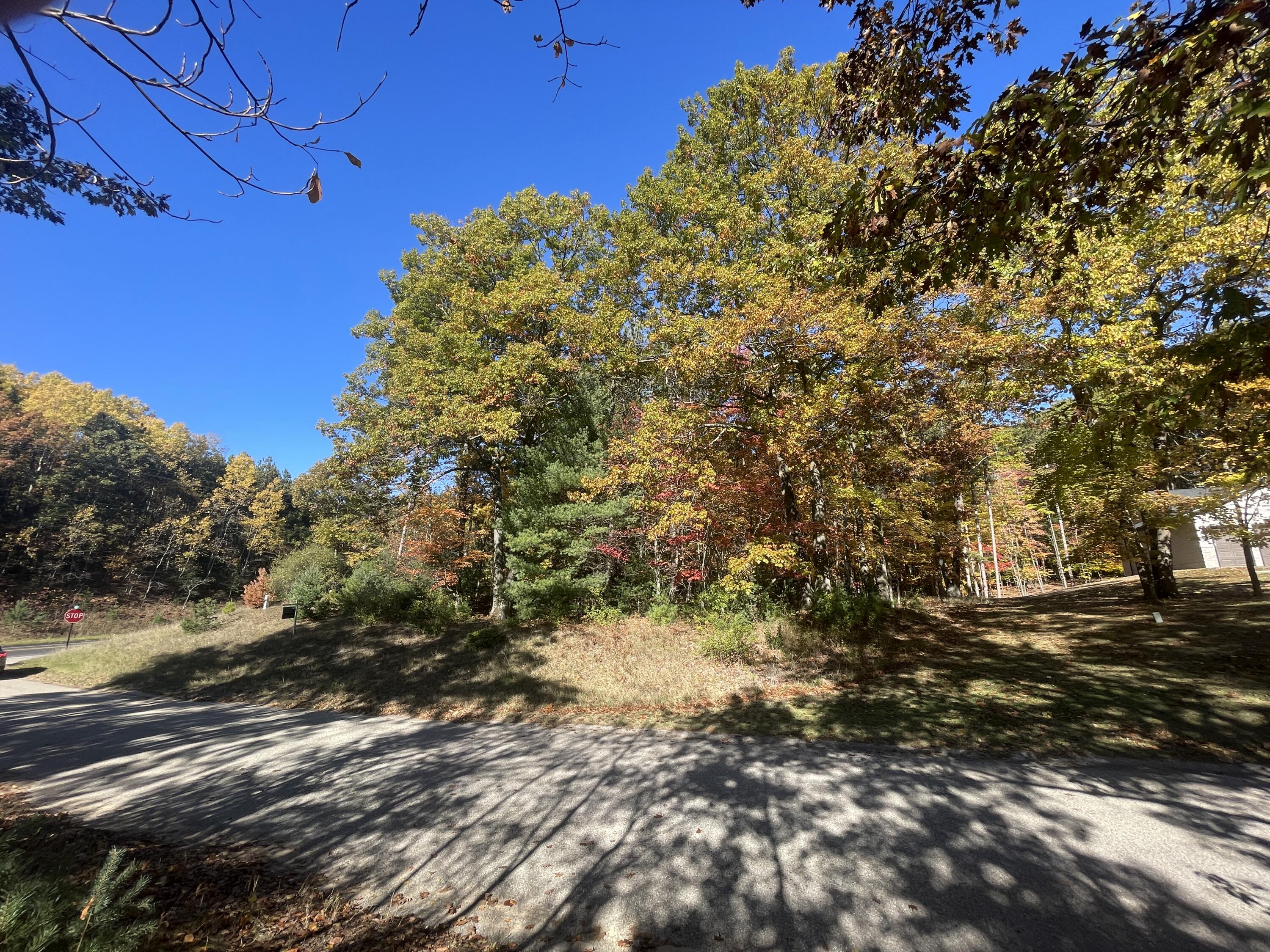 Oakridge Drive Ludington MI 49431