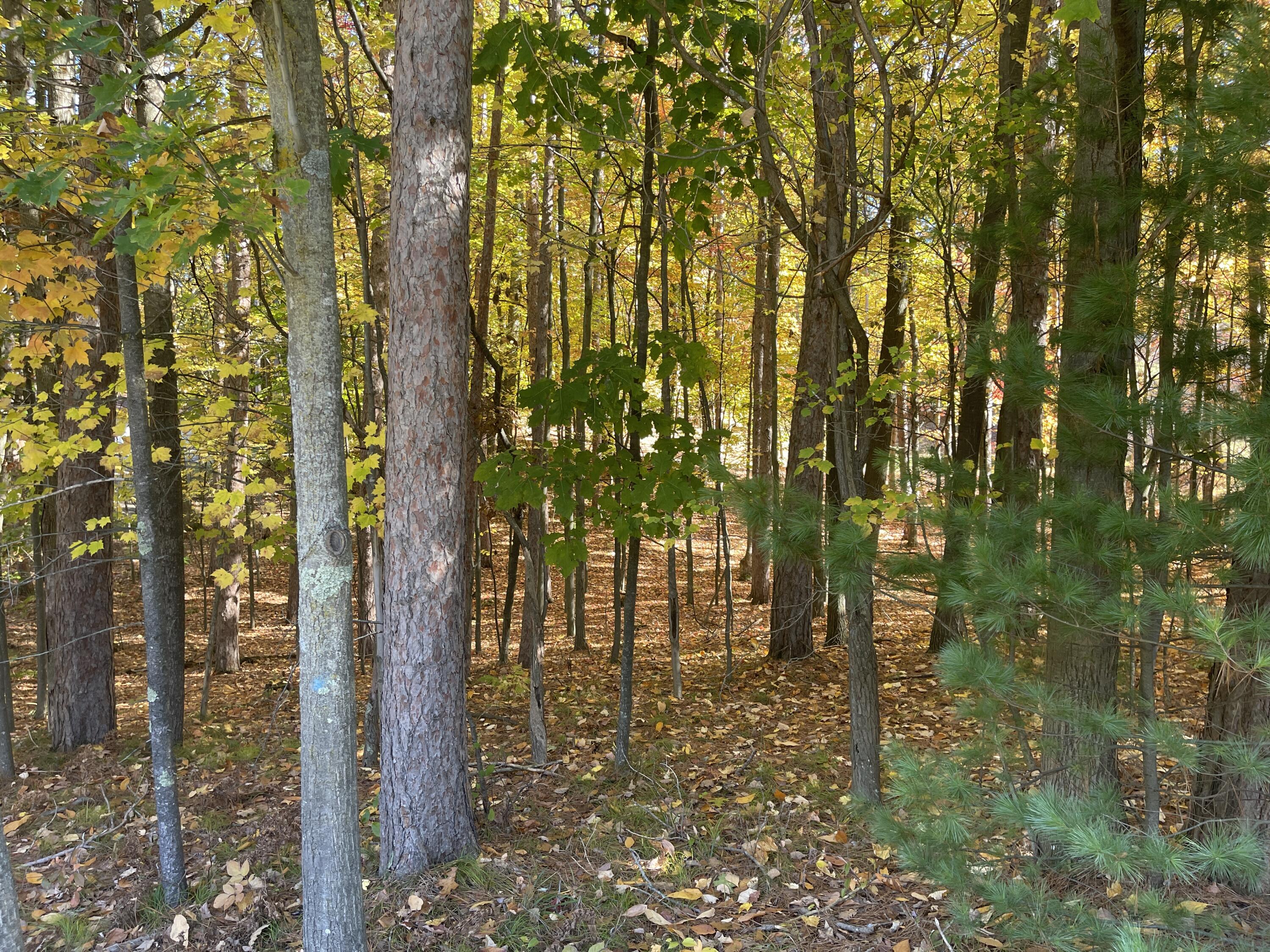 Oakridge Drive Ludington MI 49431