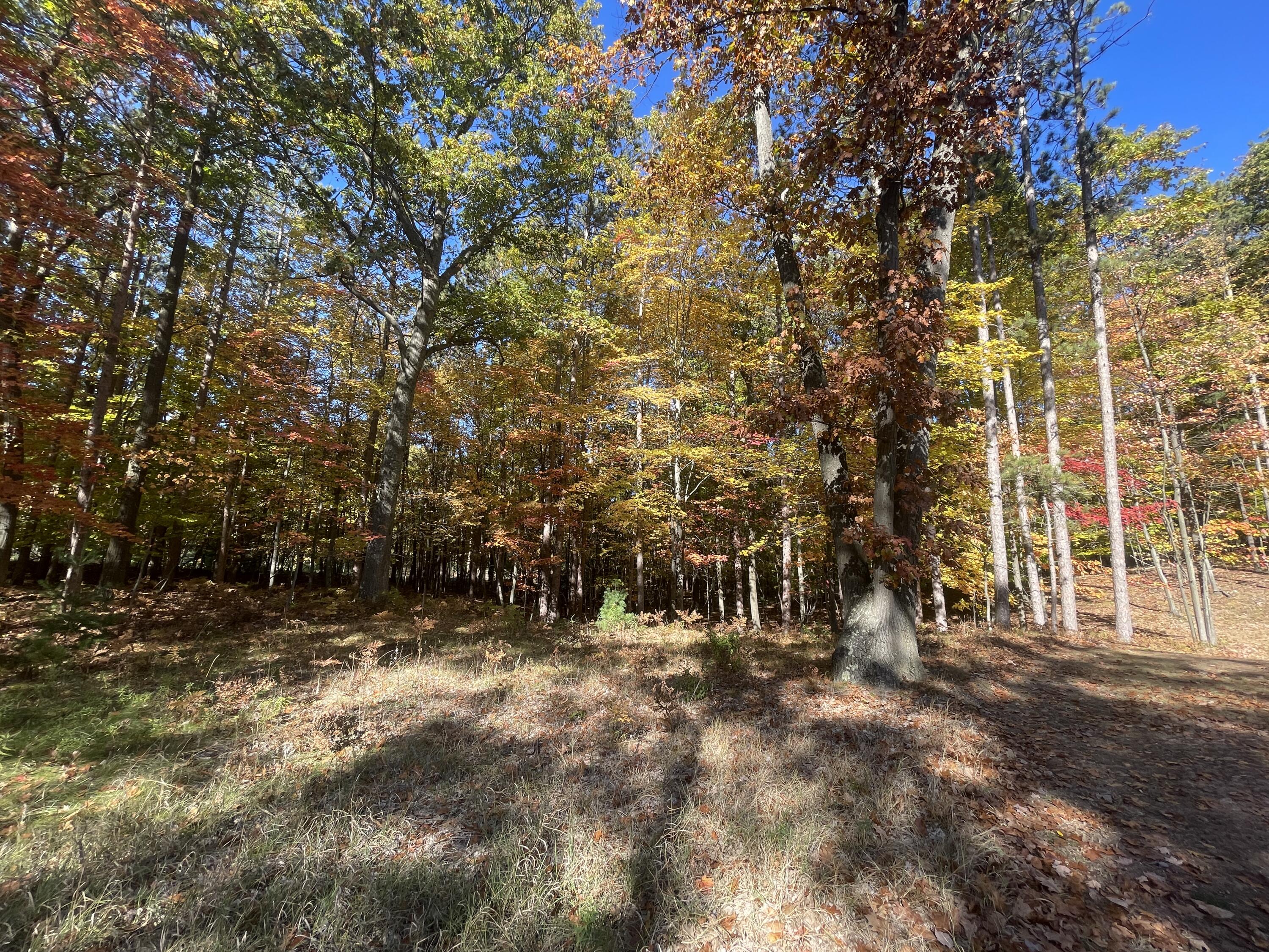 Oakridge Drive Ludington MI 49431