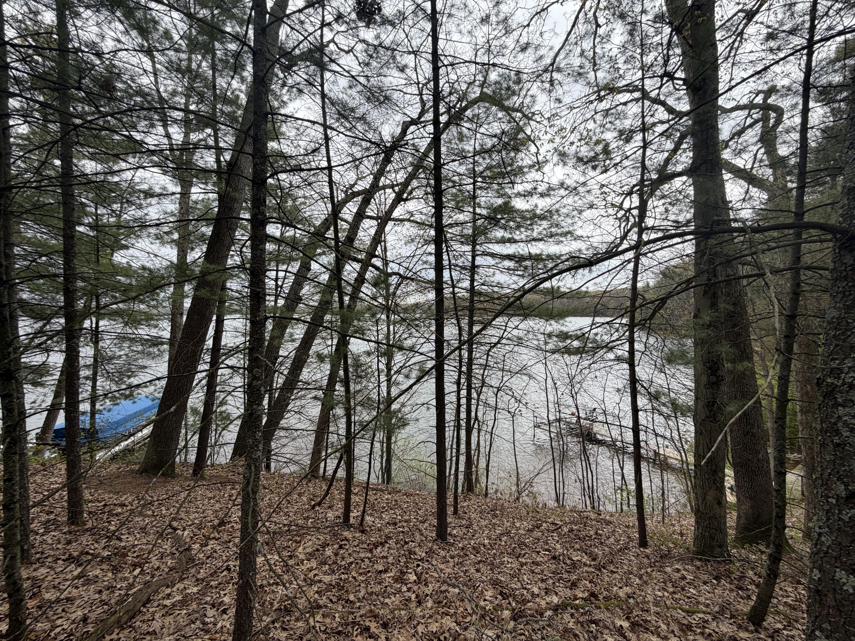 Wildwood Drive Allegan MI 49010