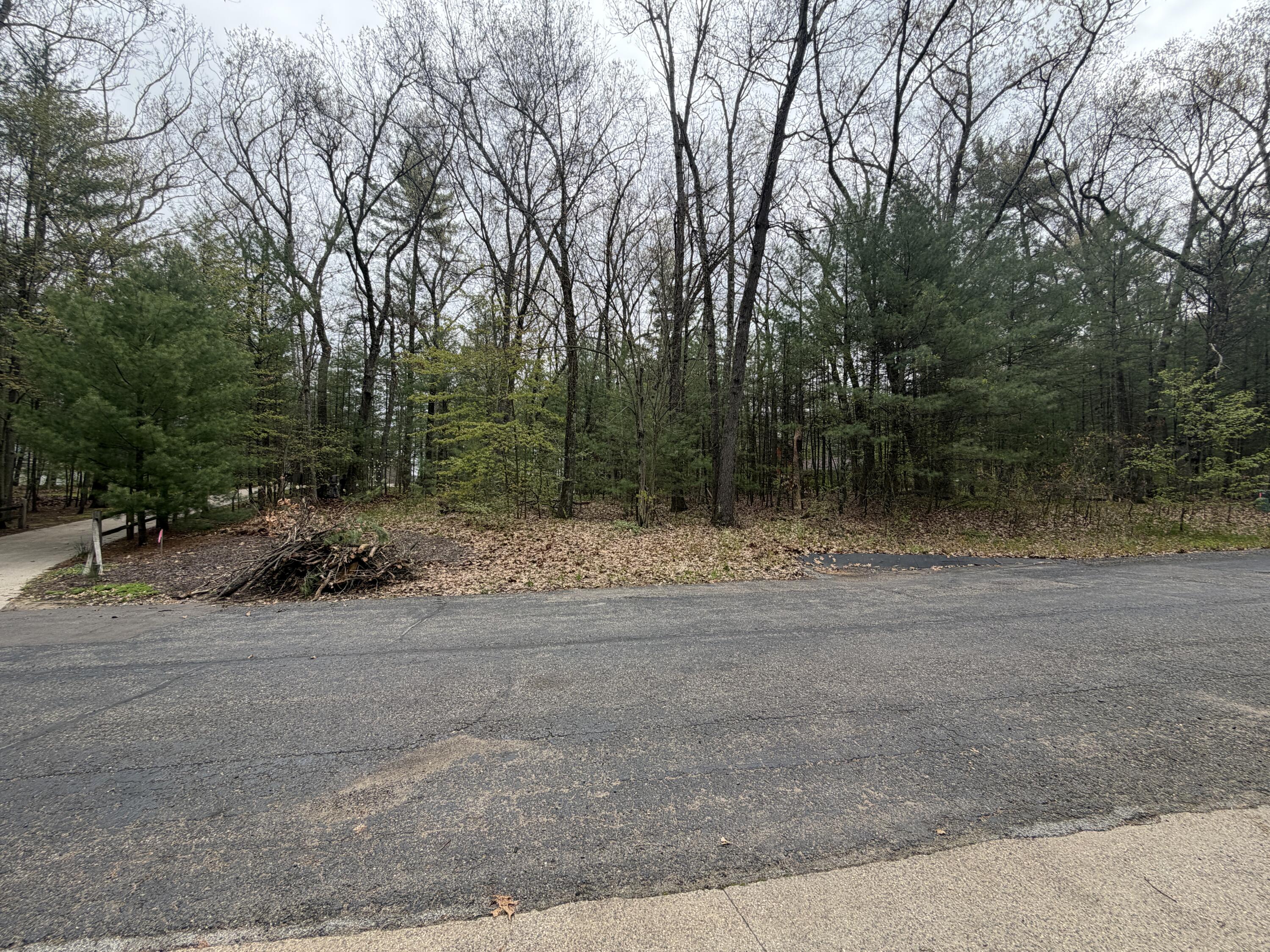 Wildwood Drive Allegan MI 49010