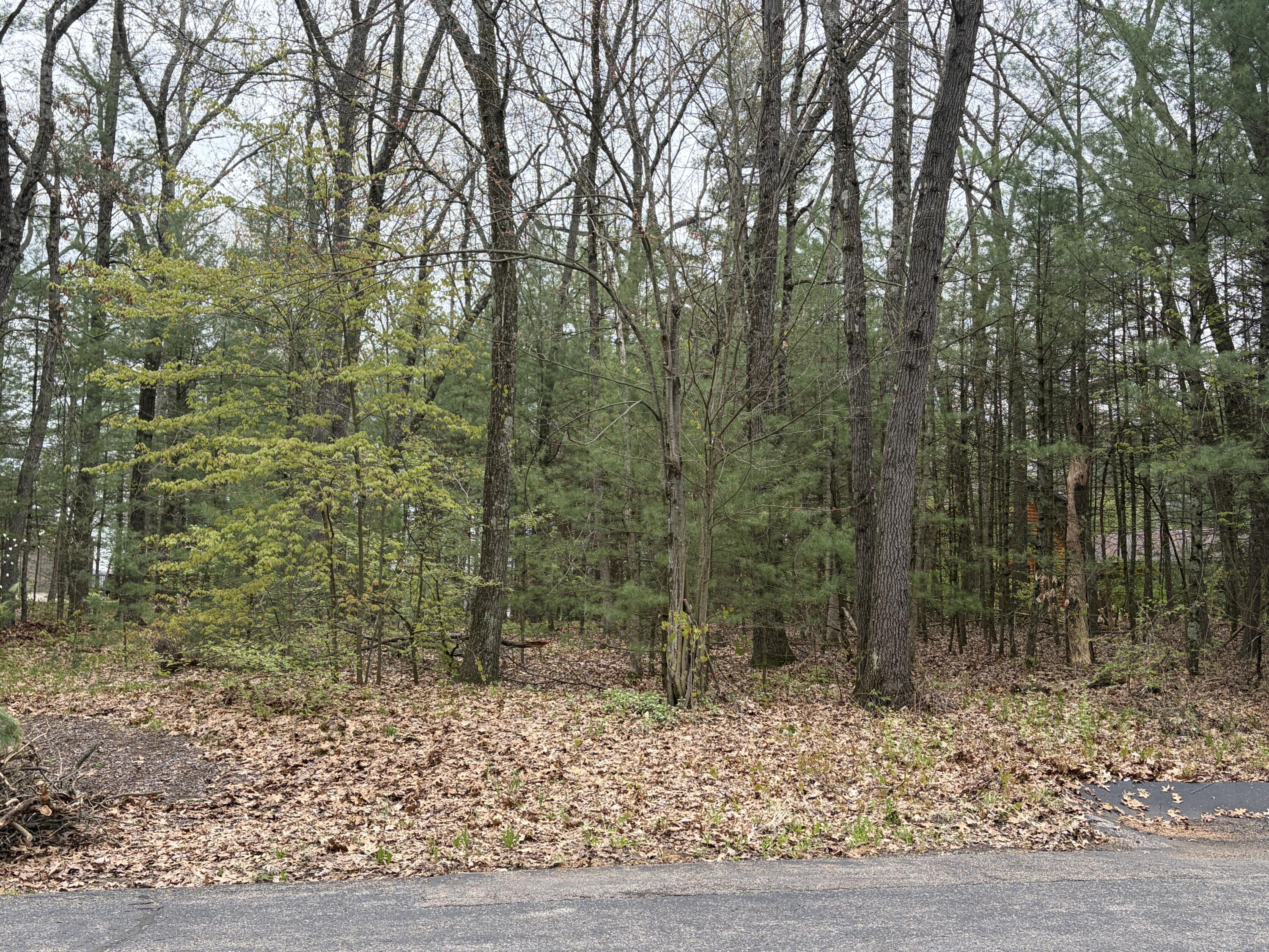 Wildwood Drive Allegan MI 49010