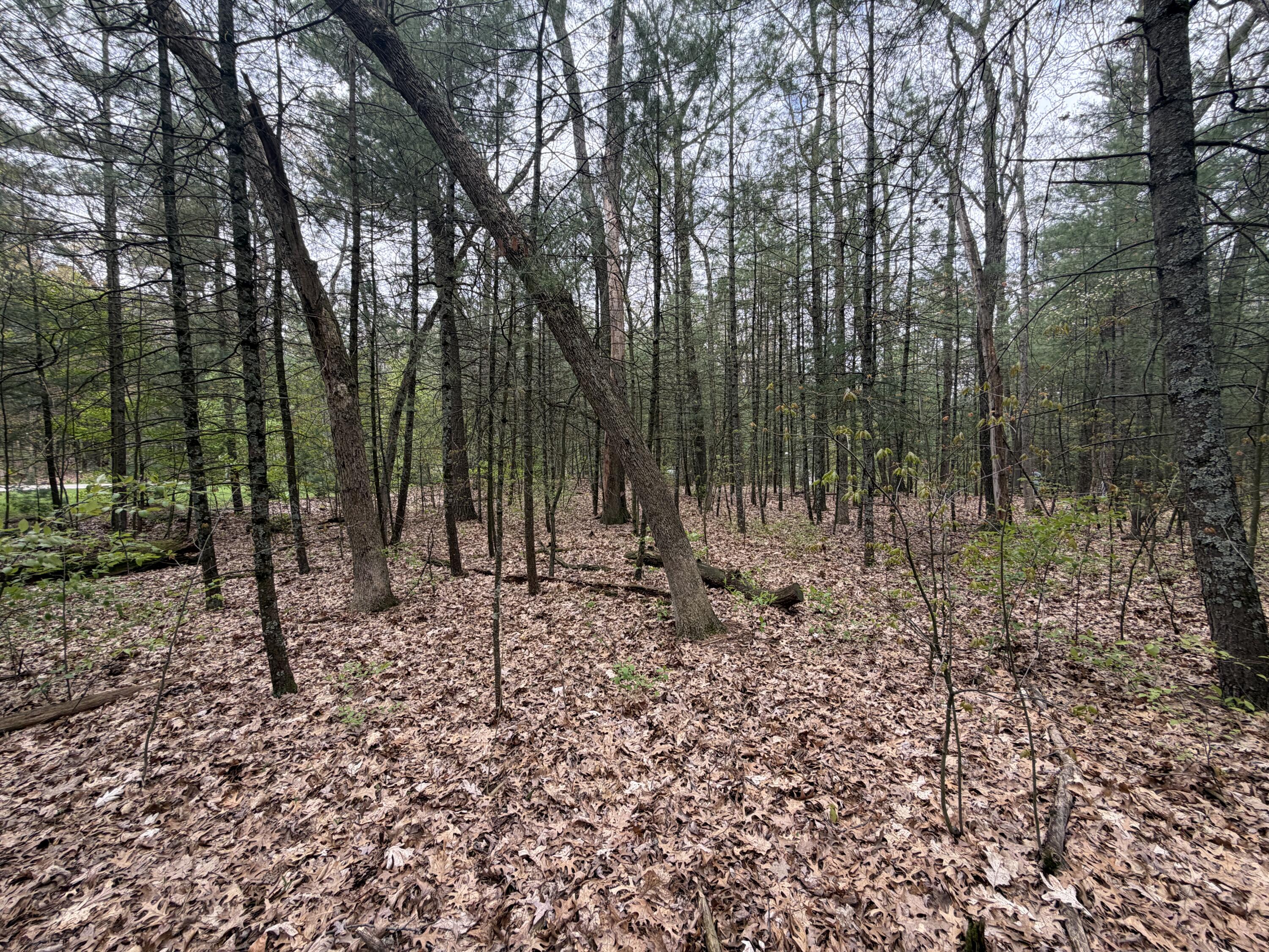Wildwood Drive Allegan MI 49010