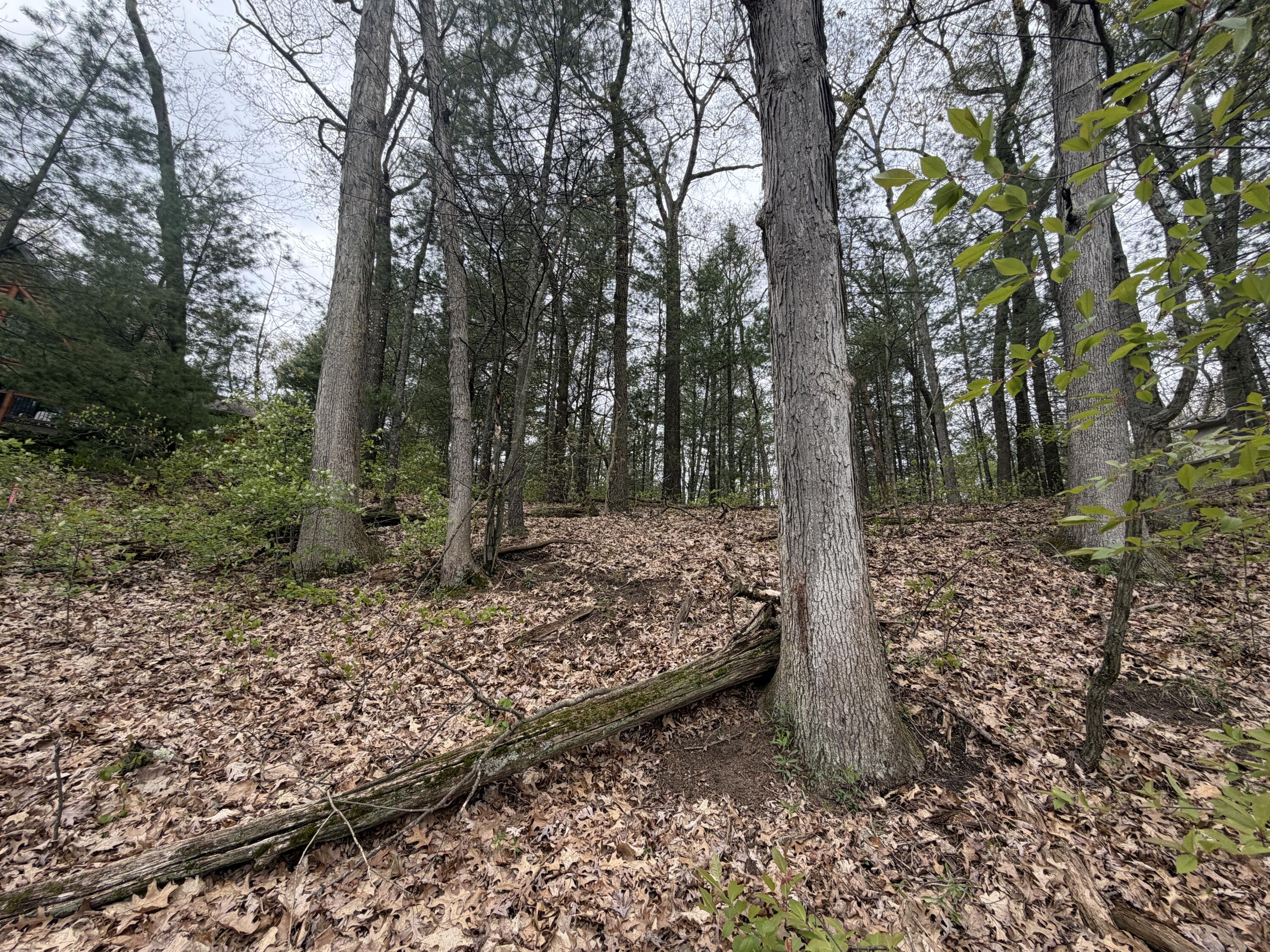 Wildwood Drive Allegan MI 49010