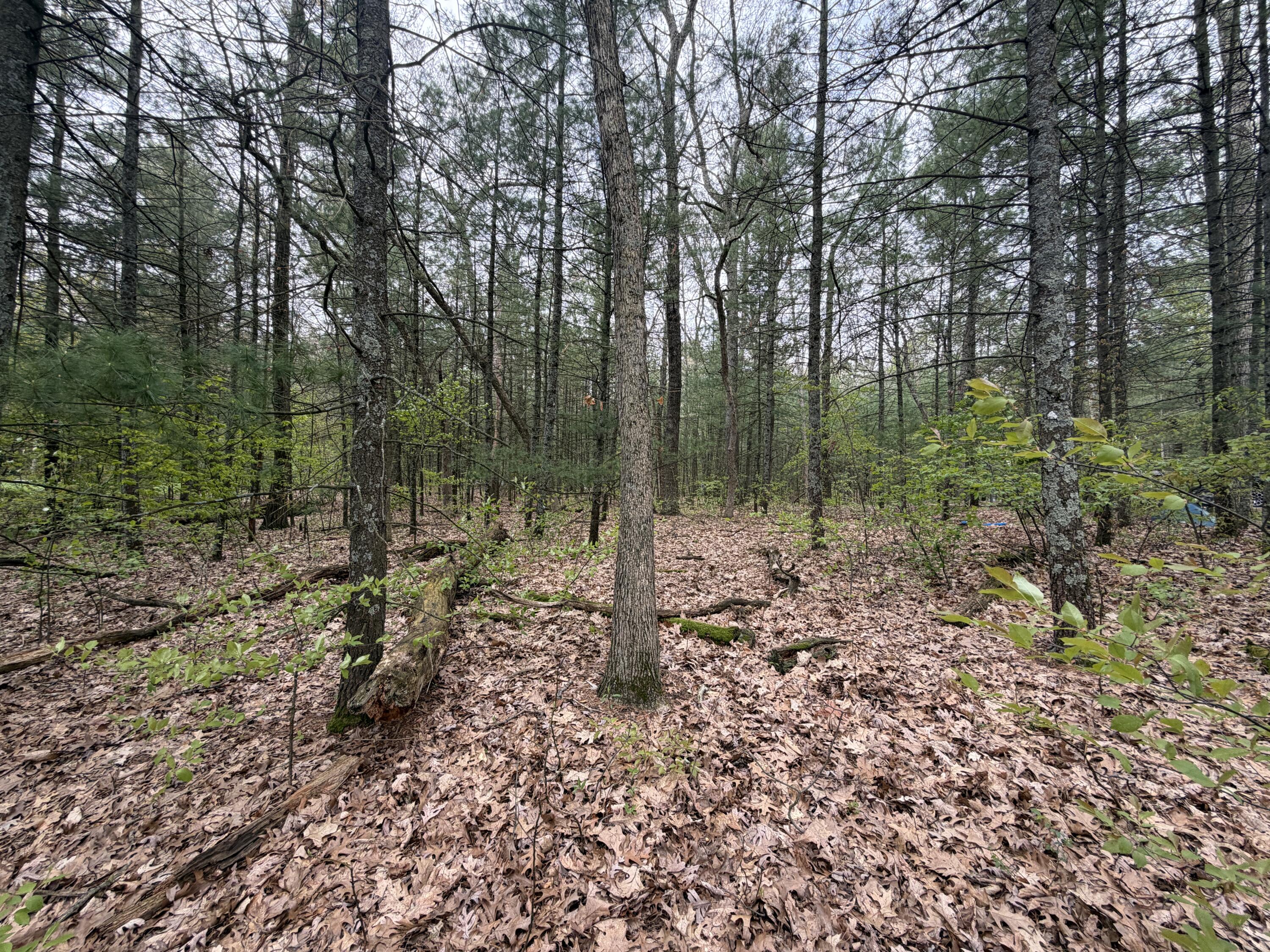 Wildwood Drive Allegan MI 49010