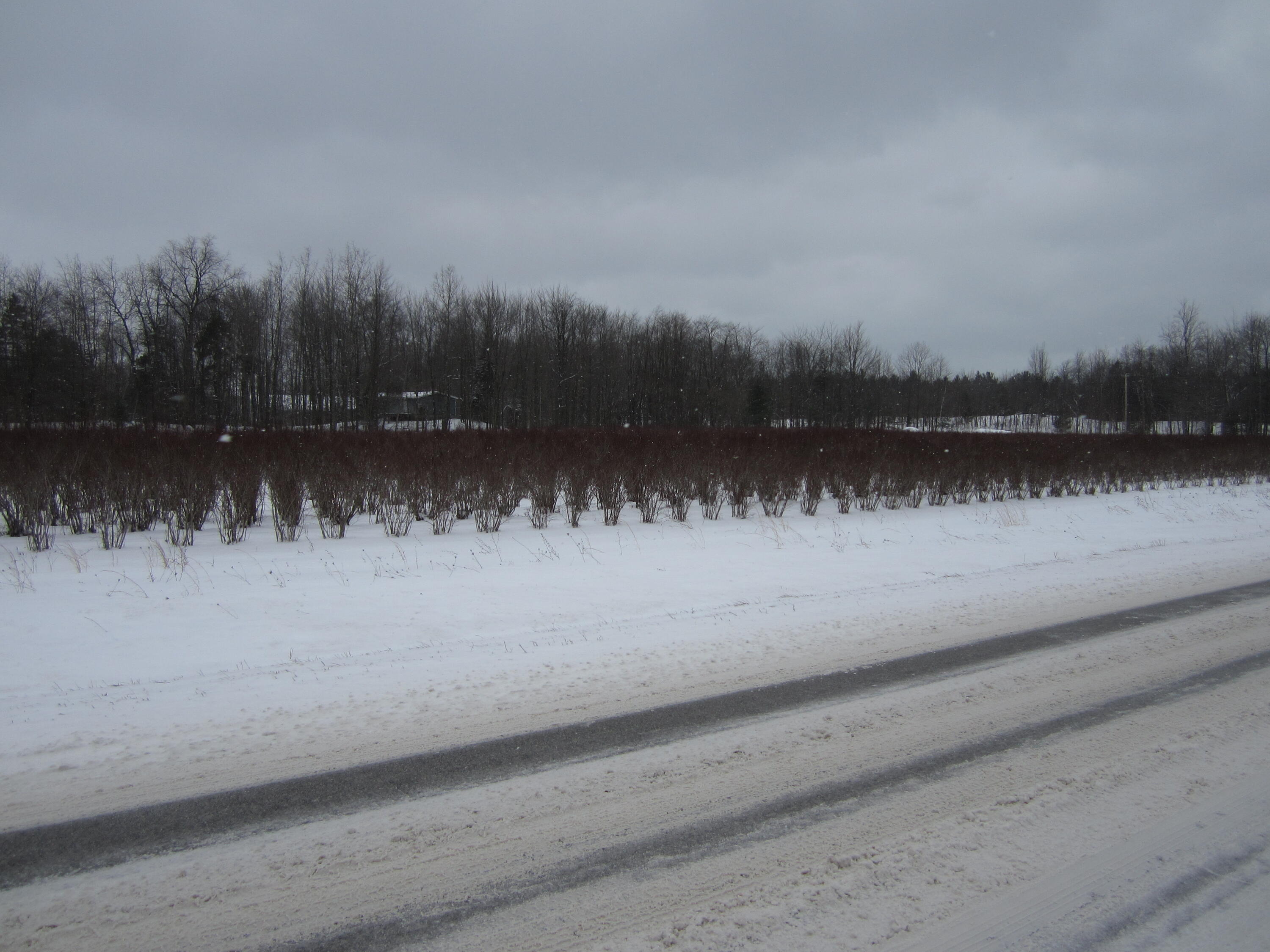 0 N Weber Road Muskegon MI 49445