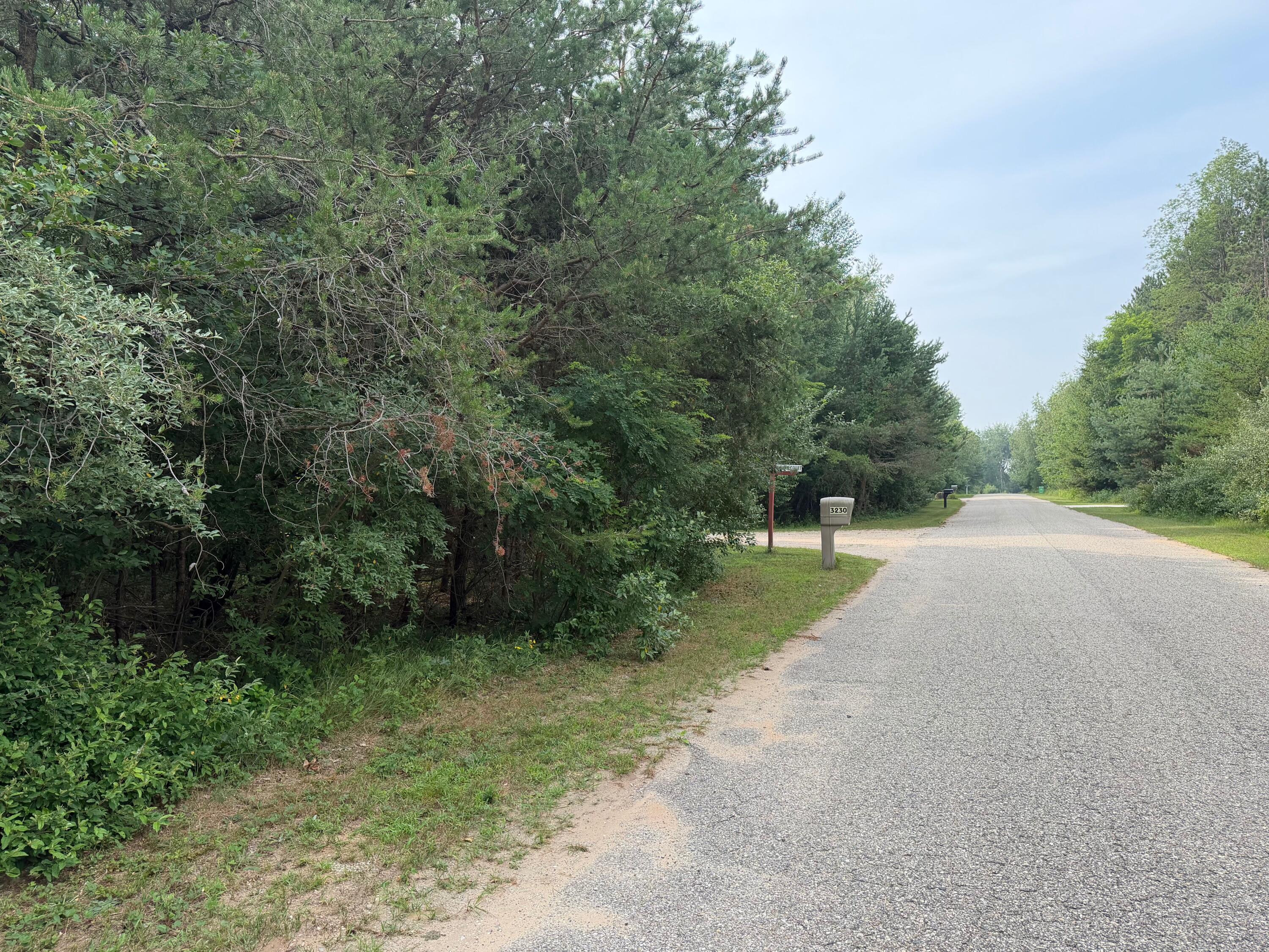 904 N White Birch Drive Ludington MI 49431