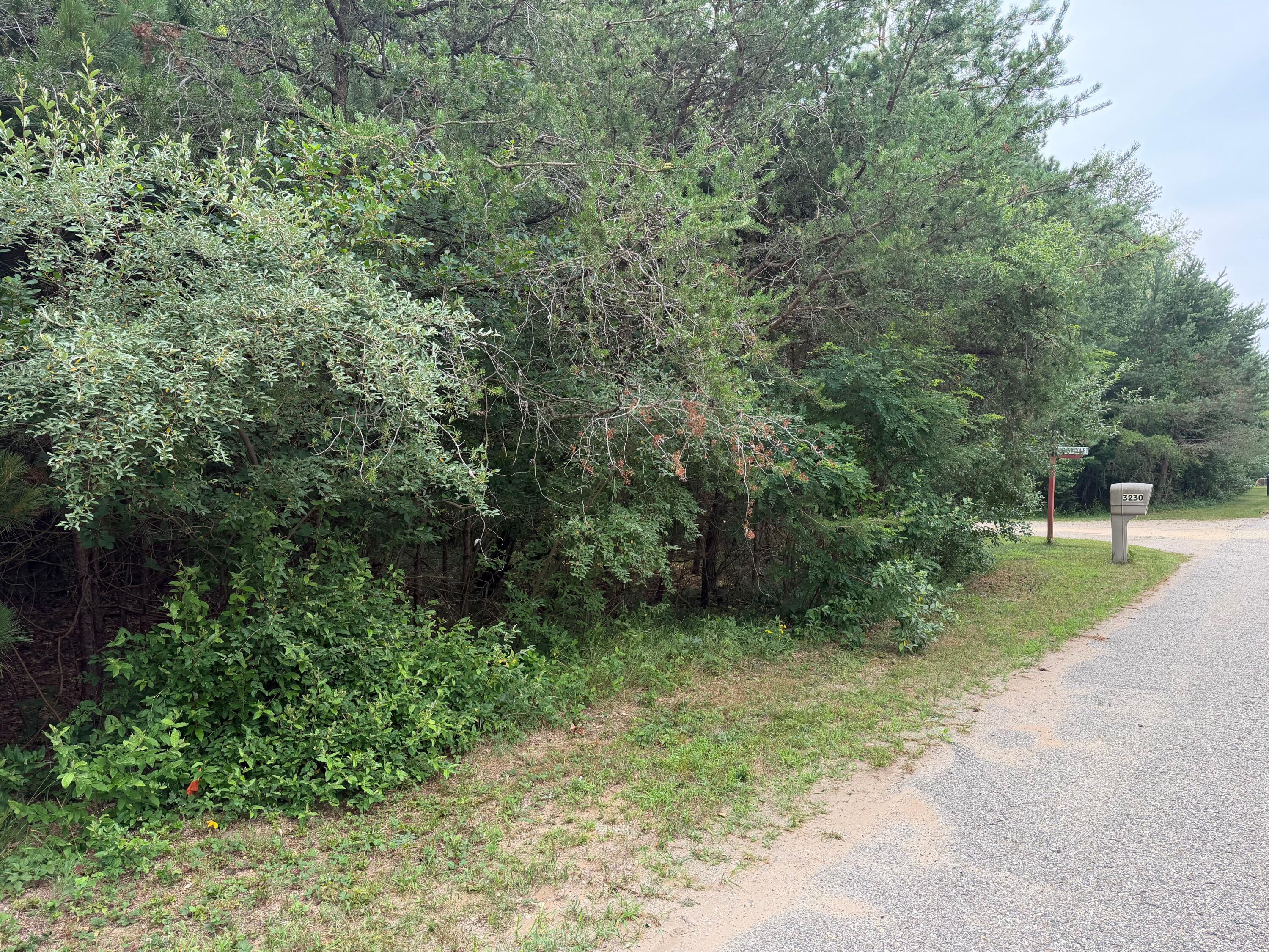 904 N White Birch Drive Ludington MI 49431