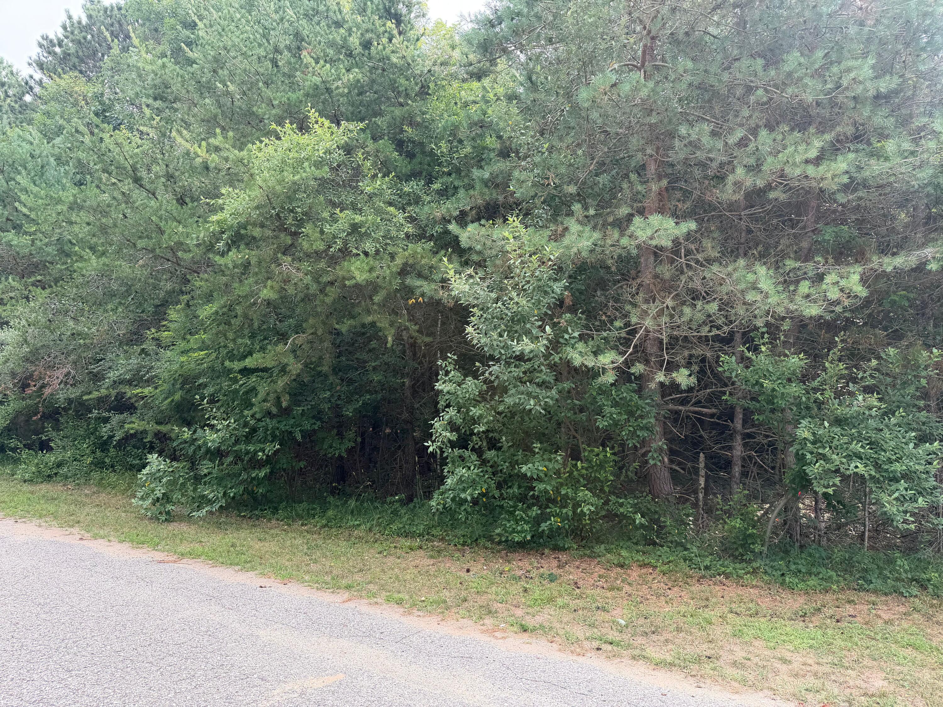 904 N White Birch Drive Ludington MI 49431