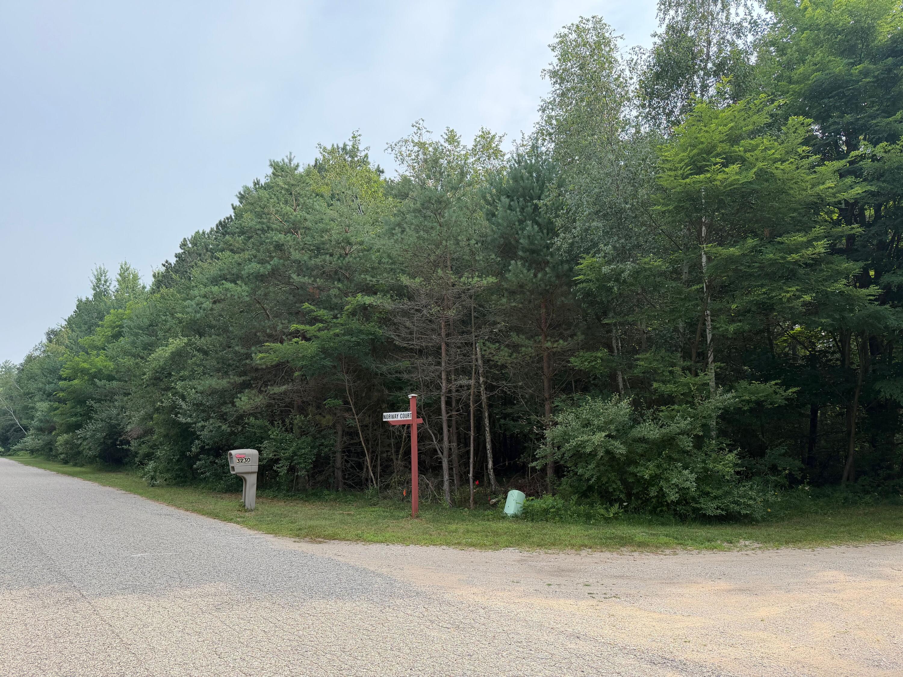 904 N White Birch Drive Ludington MI 49431