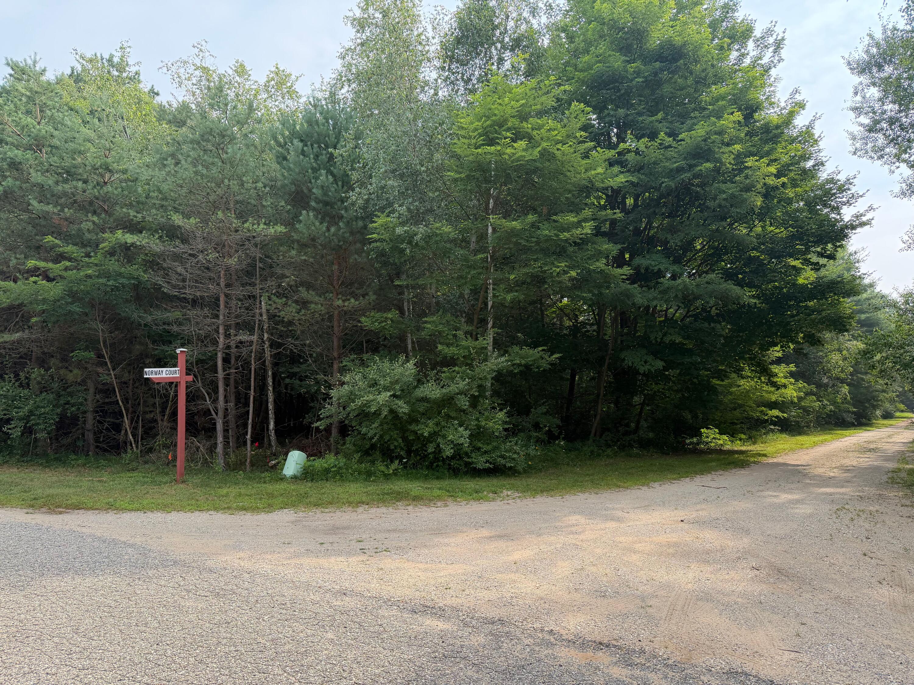 904 N White Birch Drive Ludington MI 49431