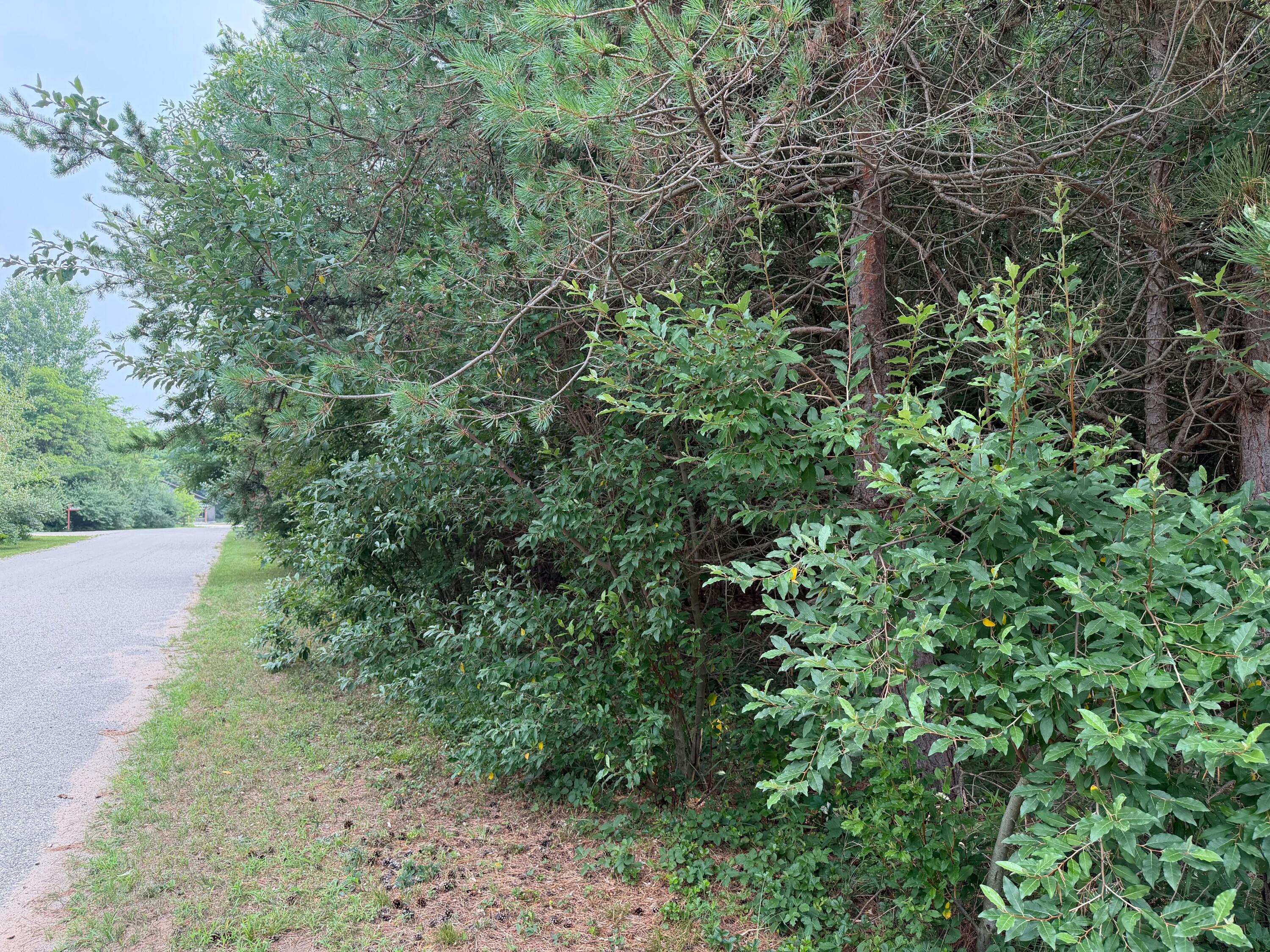 904 N White Birch Drive Ludington MI 49431