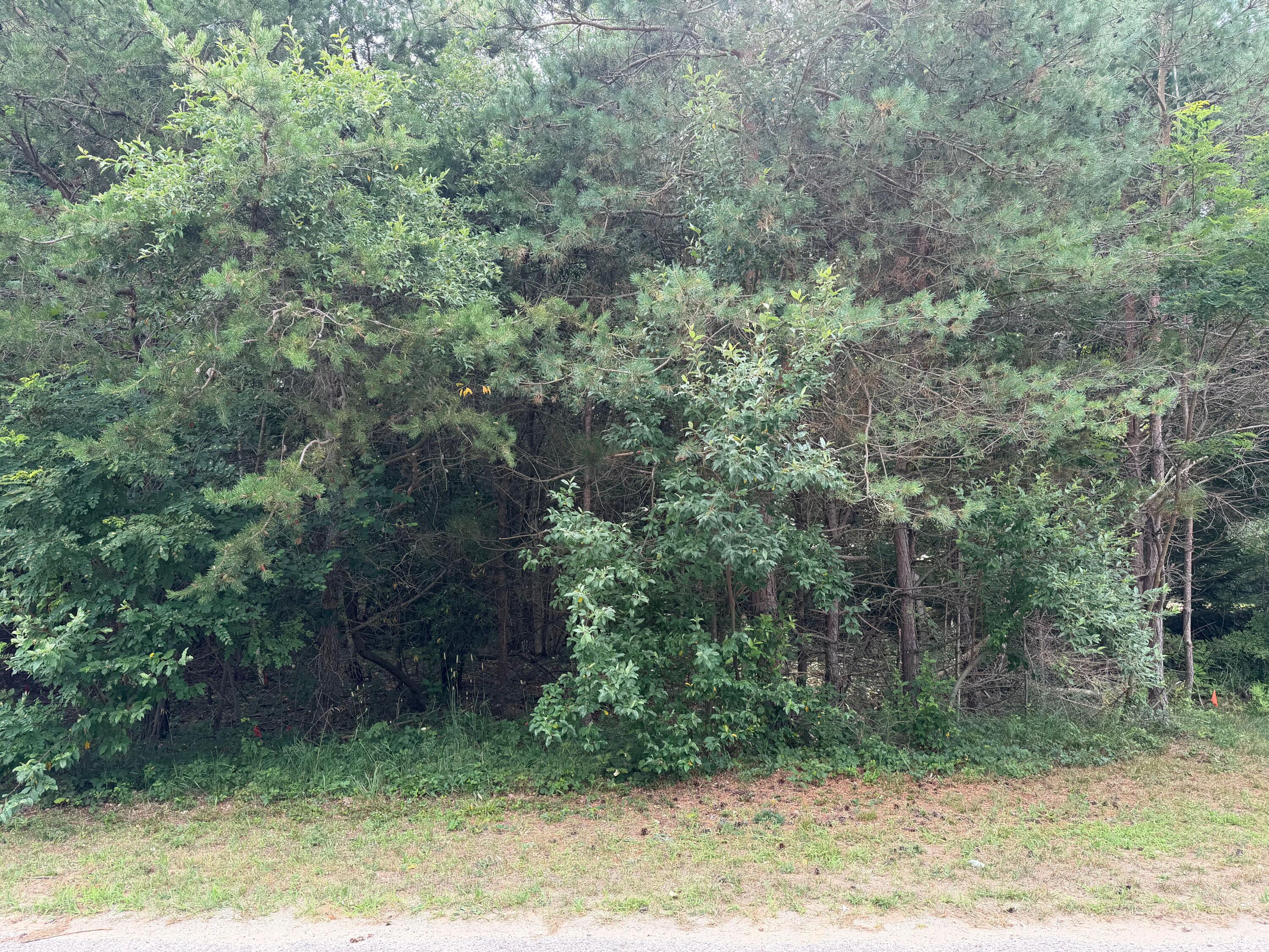 904 N White Birch Drive Ludington MI 49431