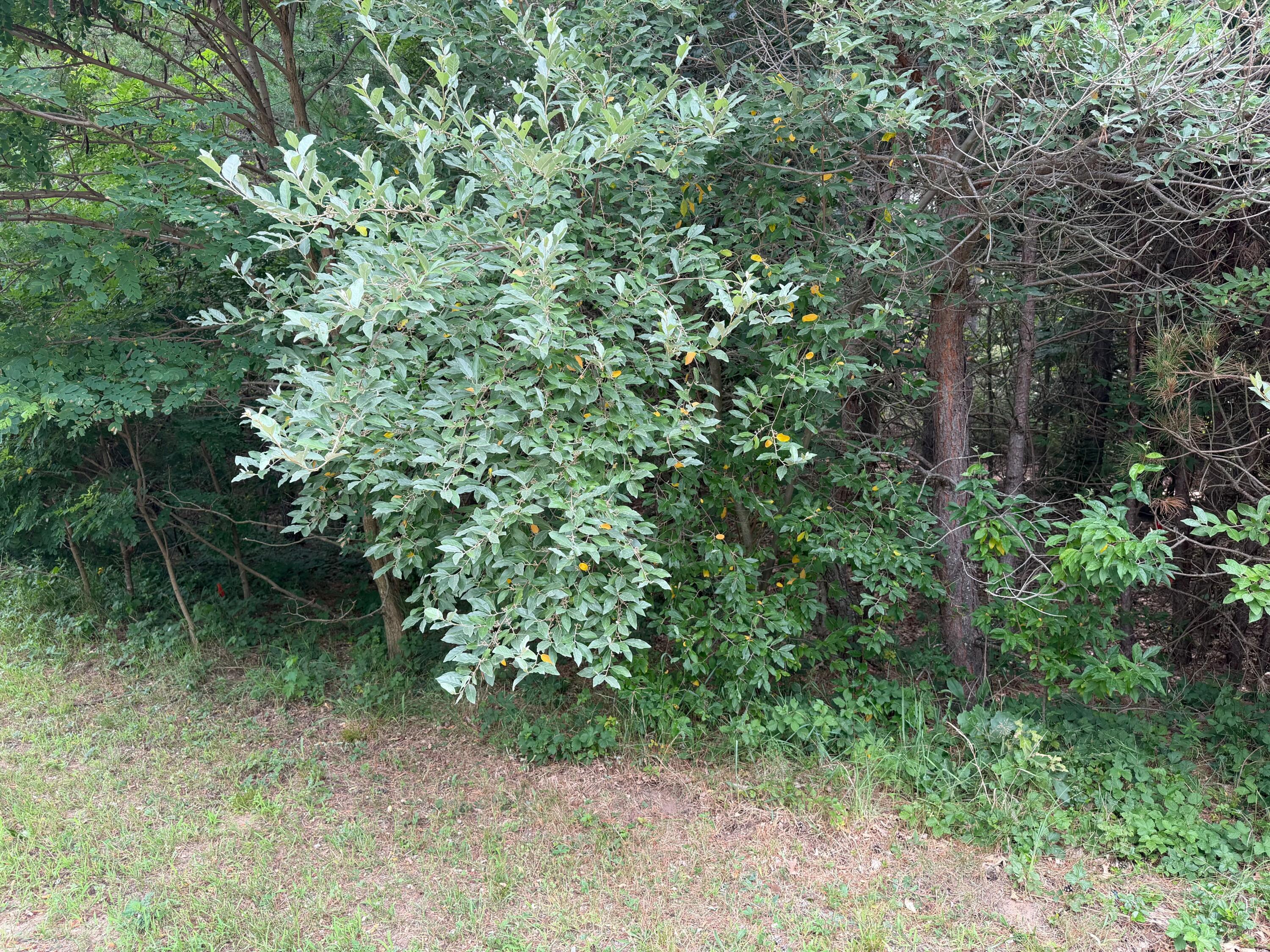 904 N White Birch Drive Ludington MI 49431