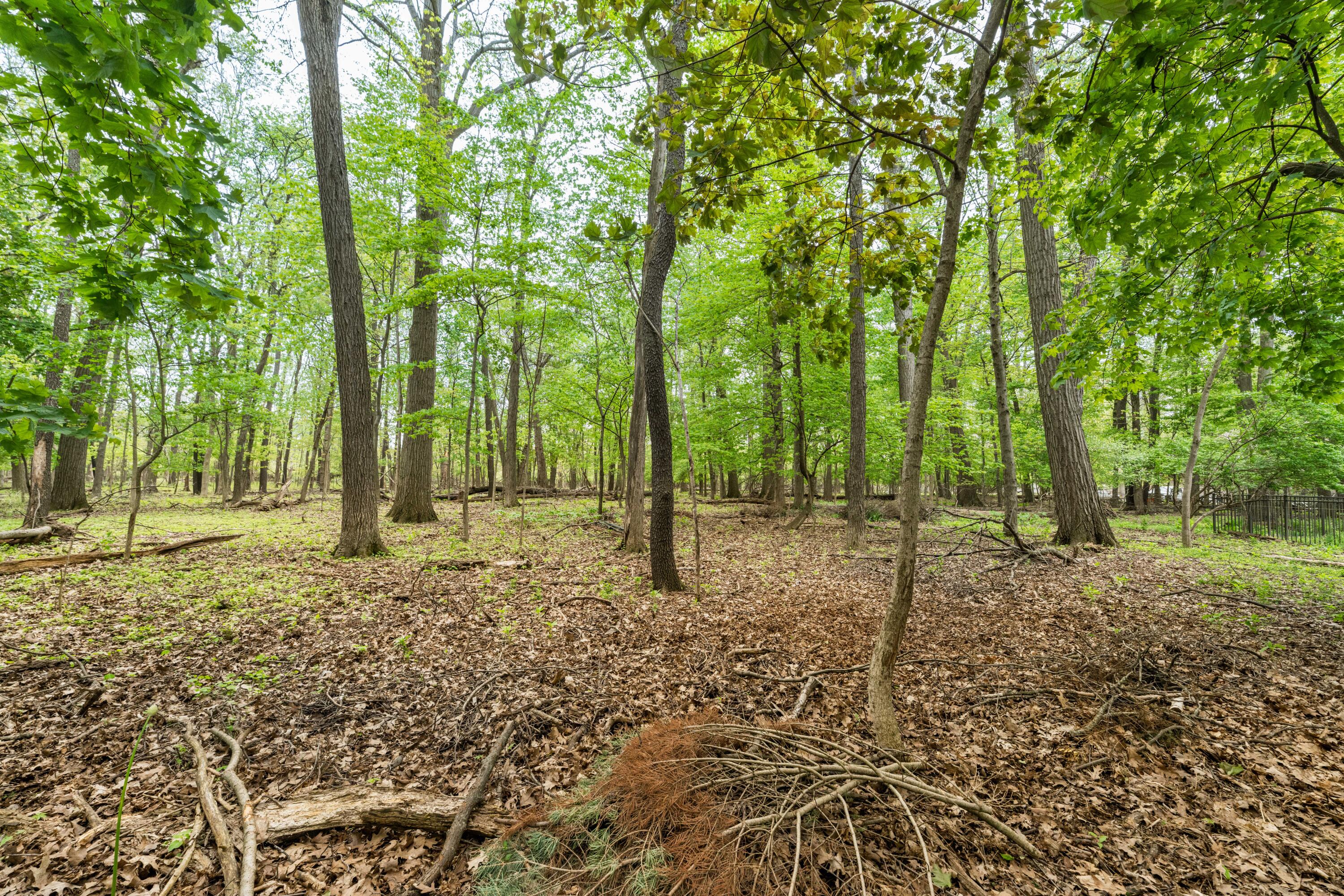 3025 Brynmawr Drive Portage MI 49024