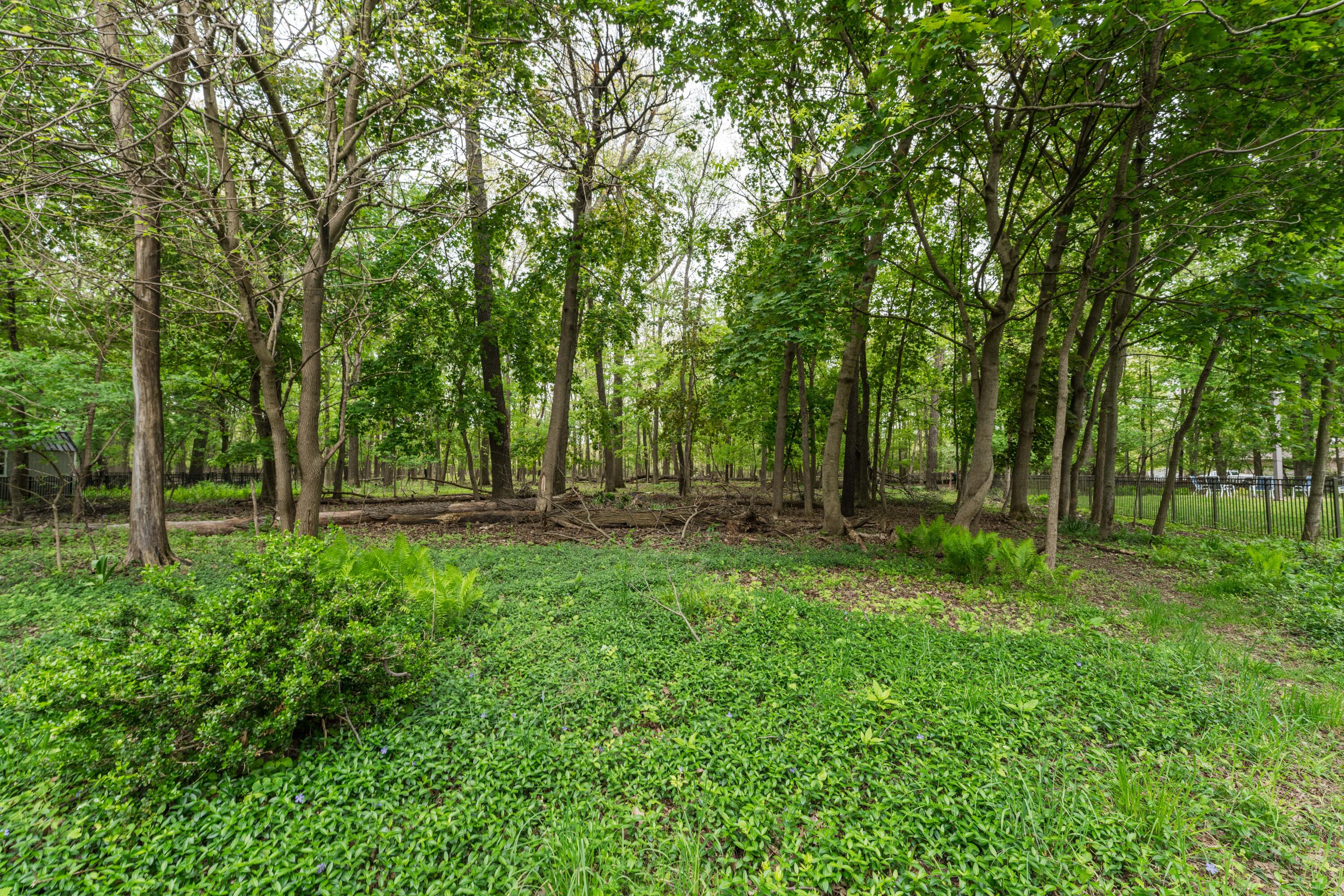 3025 Brynmawr Drive Portage MI 49024