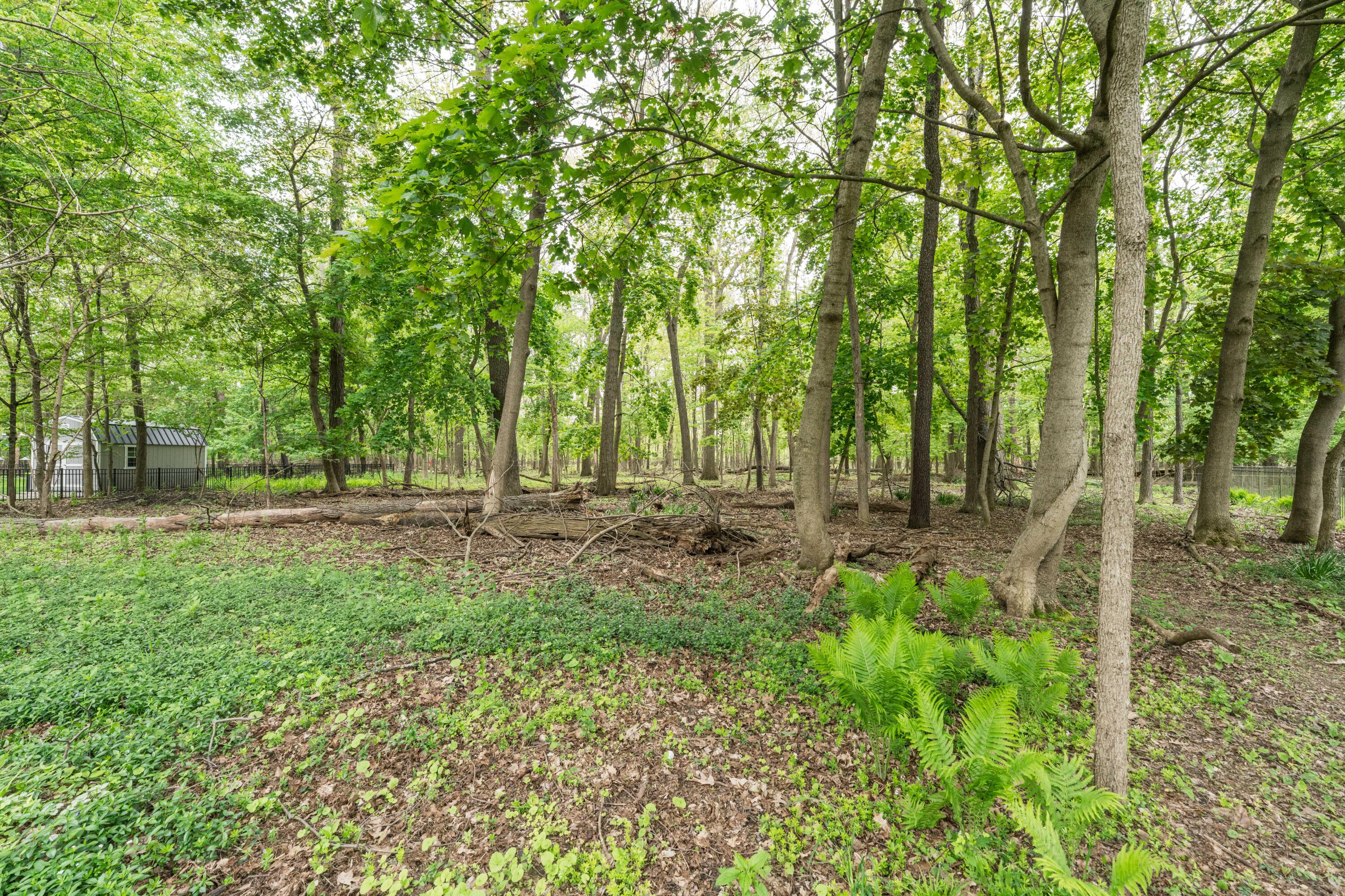 3025 Brynmawr Drive Portage MI 49024