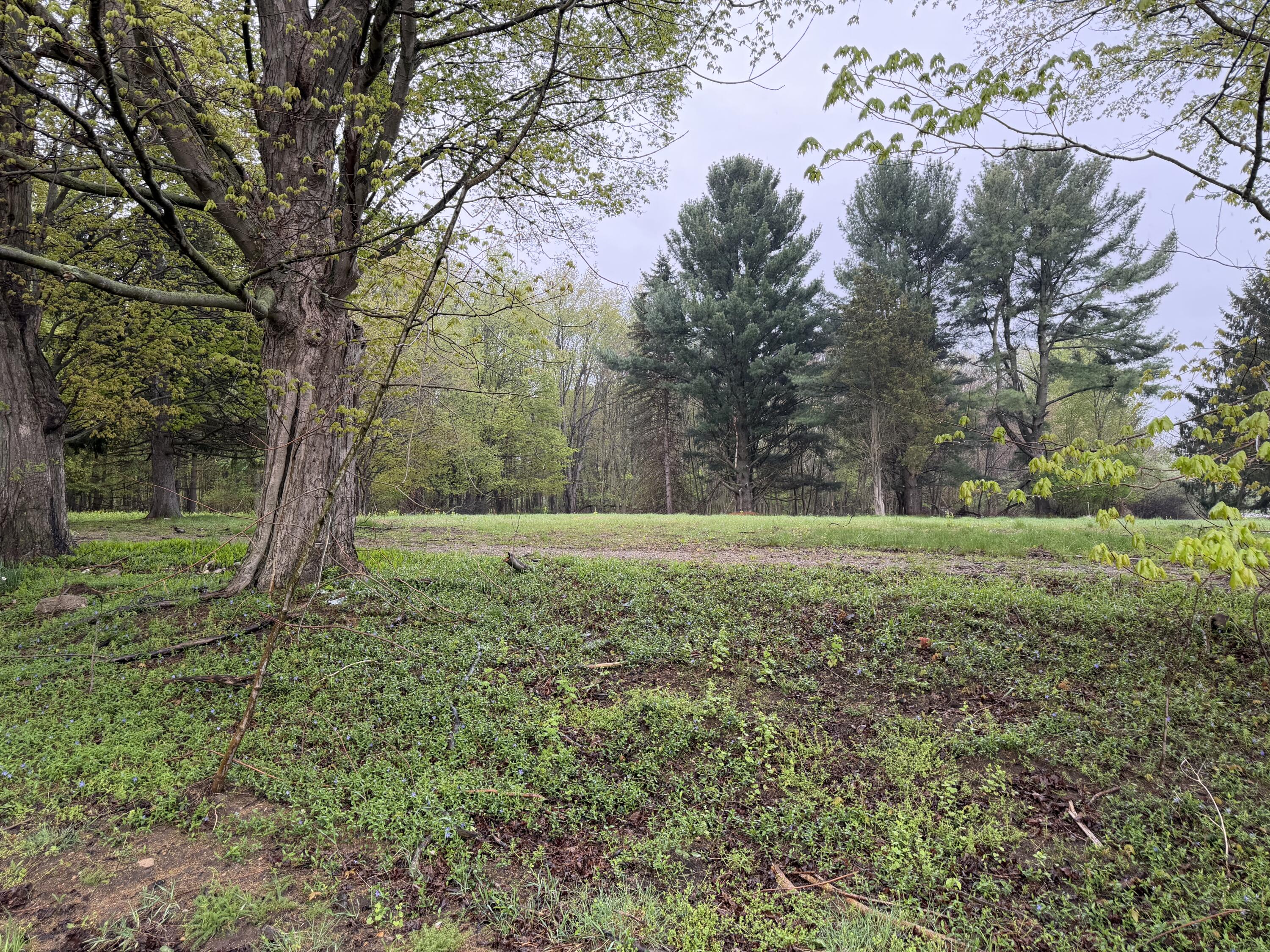 Lot 1 Christopher Lane South Haven MI 49090