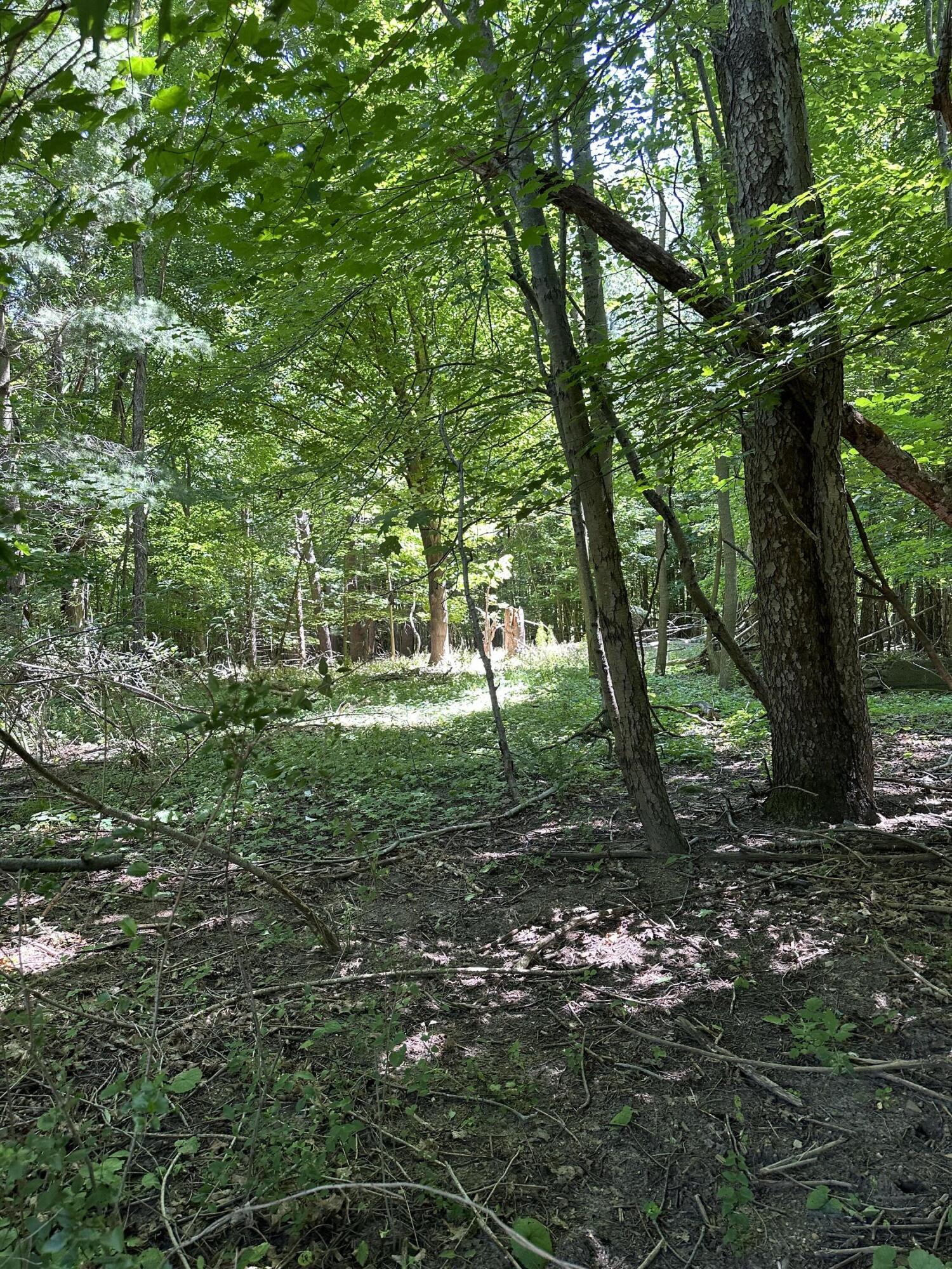 Lot 1 Christopher Lane South Haven MI 49090
