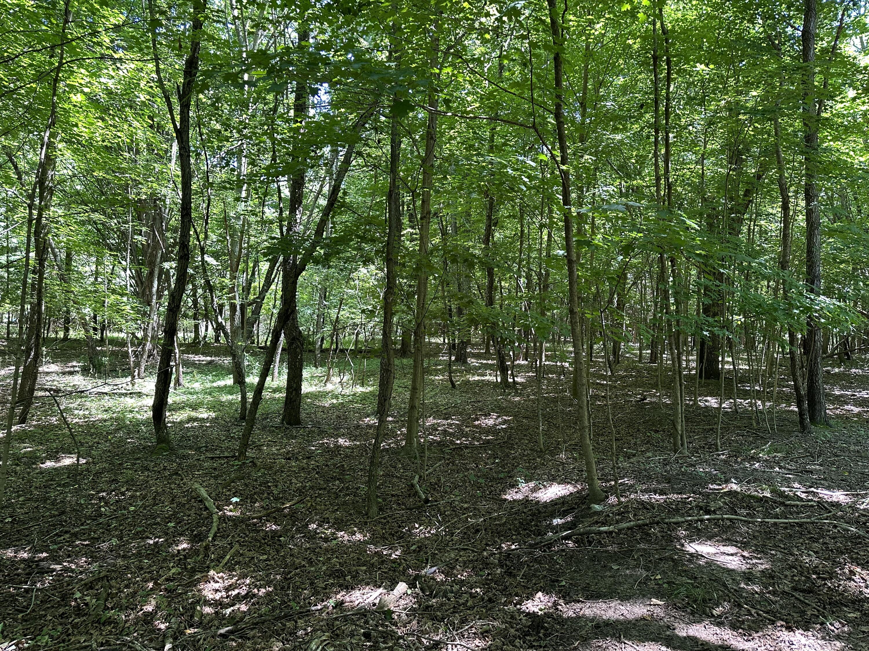 Lot 1 Christopher Lane South Haven MI 49090