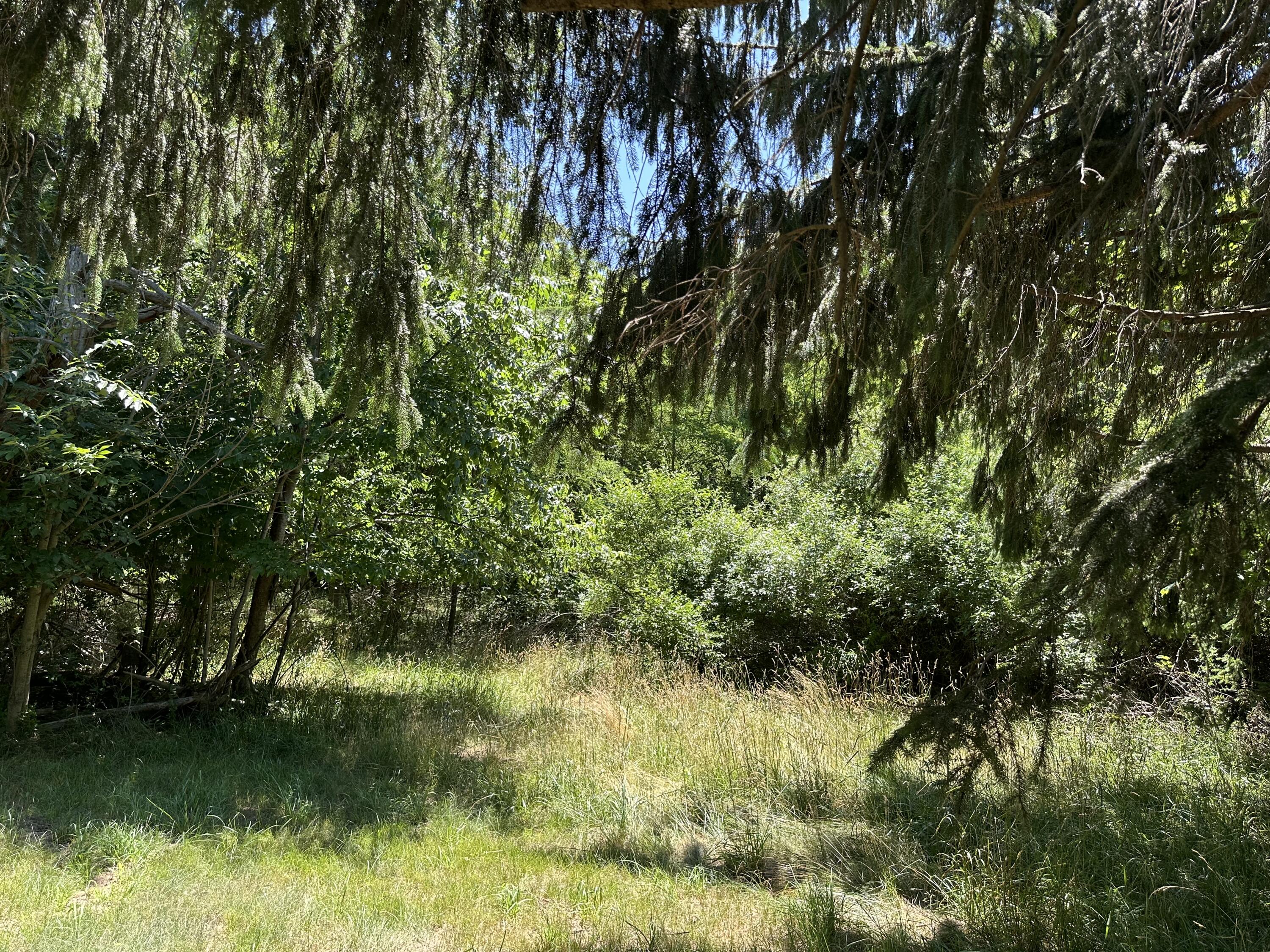Lot 1 Christopher Lane South Haven MI 49090