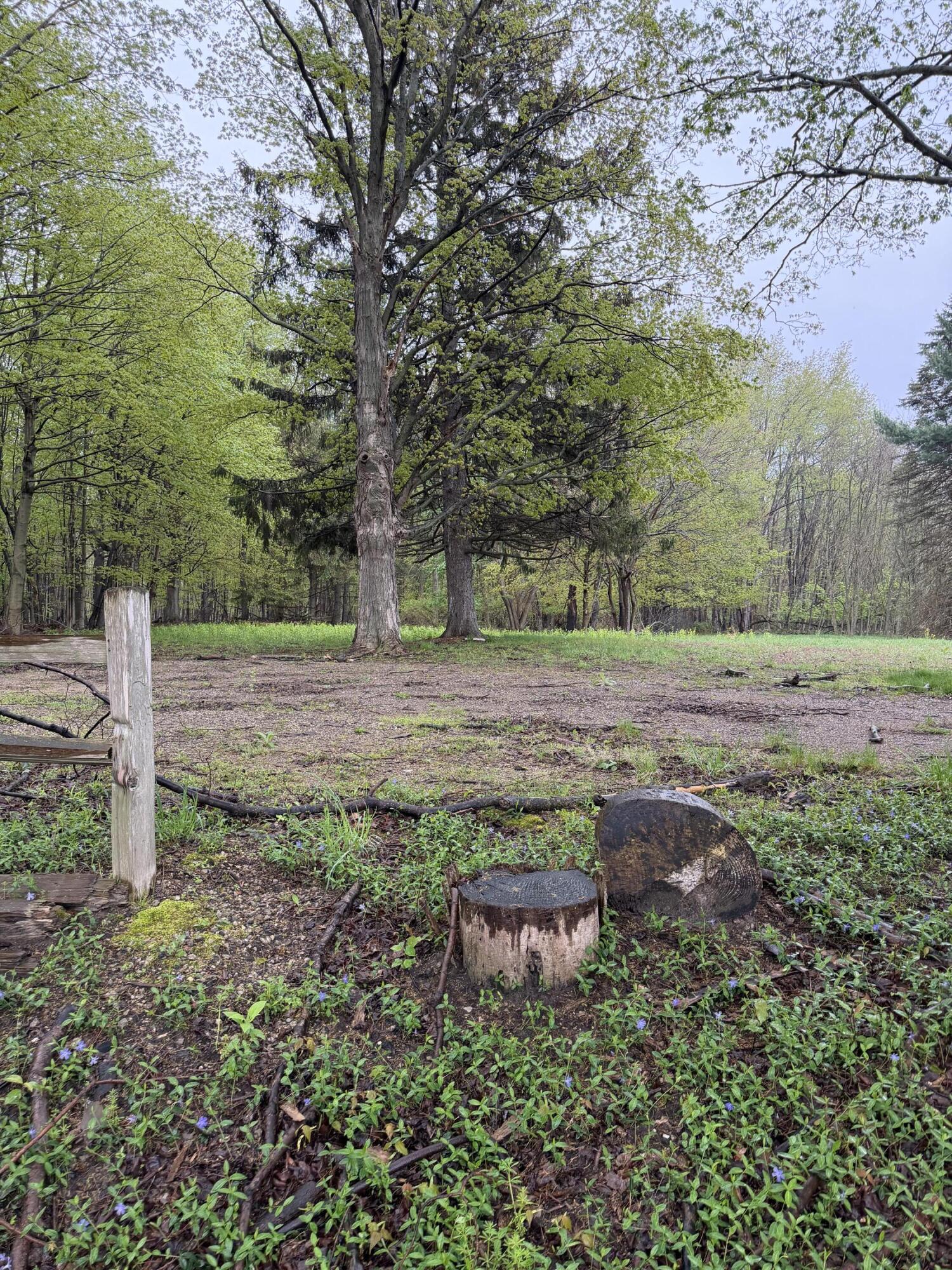 Lot 1 Christopher Lane South Haven MI 49090