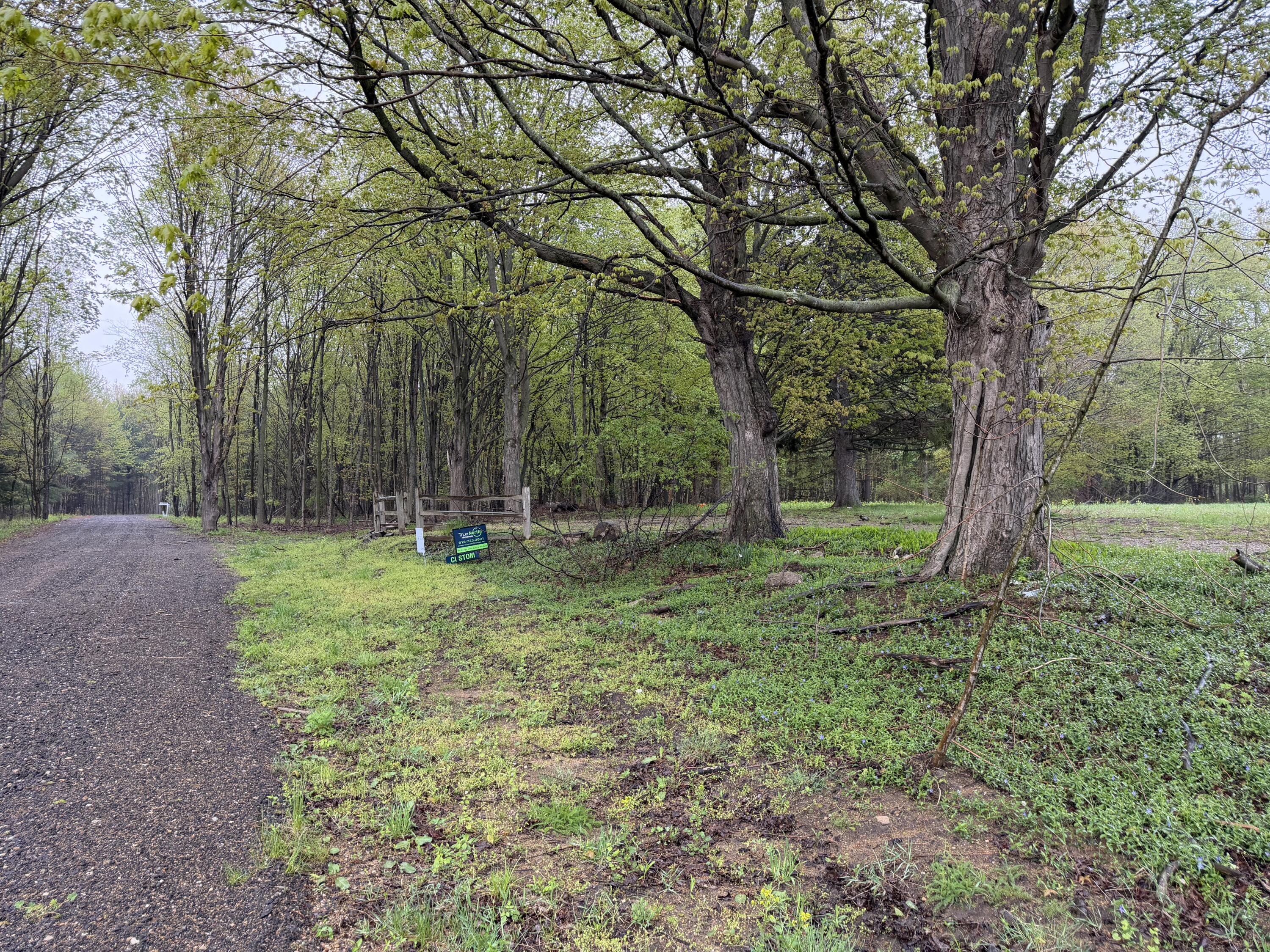 Lot 1 Christopher Lane South Haven MI 49090