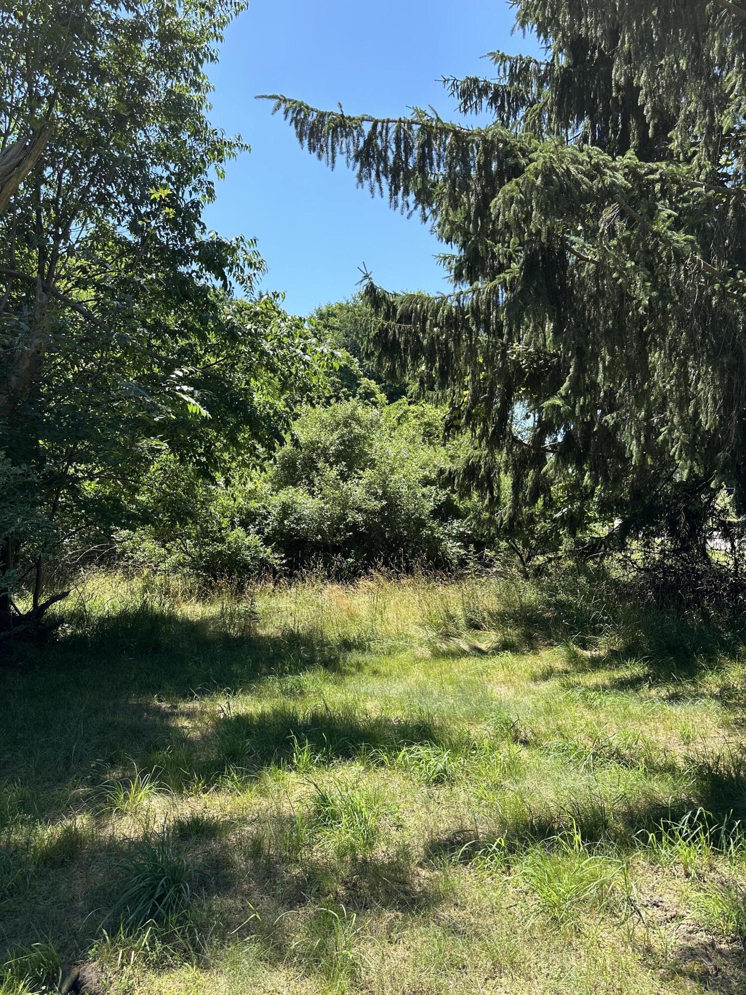 Lot 1 Christopher Lane South Haven MI 49090