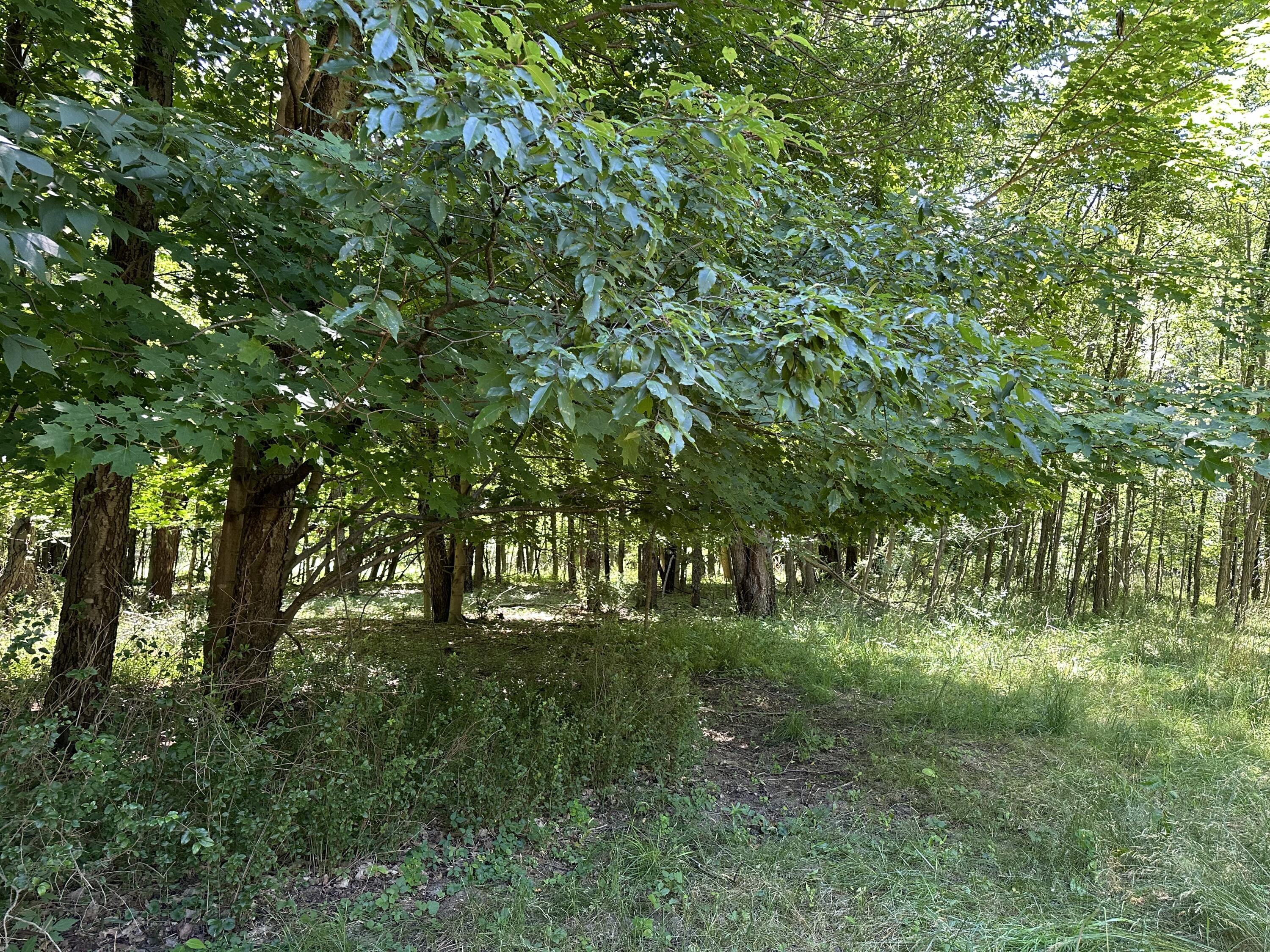 Lot 1 Christopher Lane South Haven MI 49090