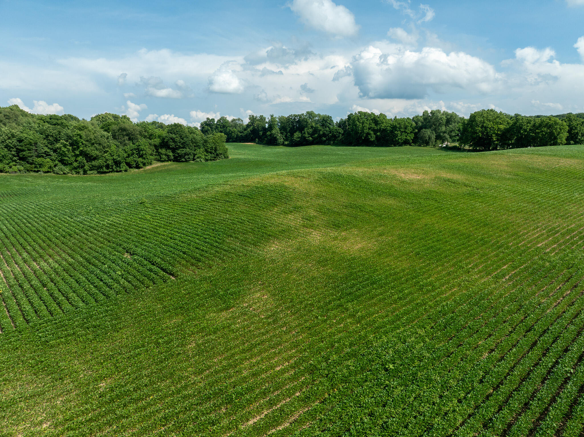13ACRES 19th Street Hopkins MI 49328