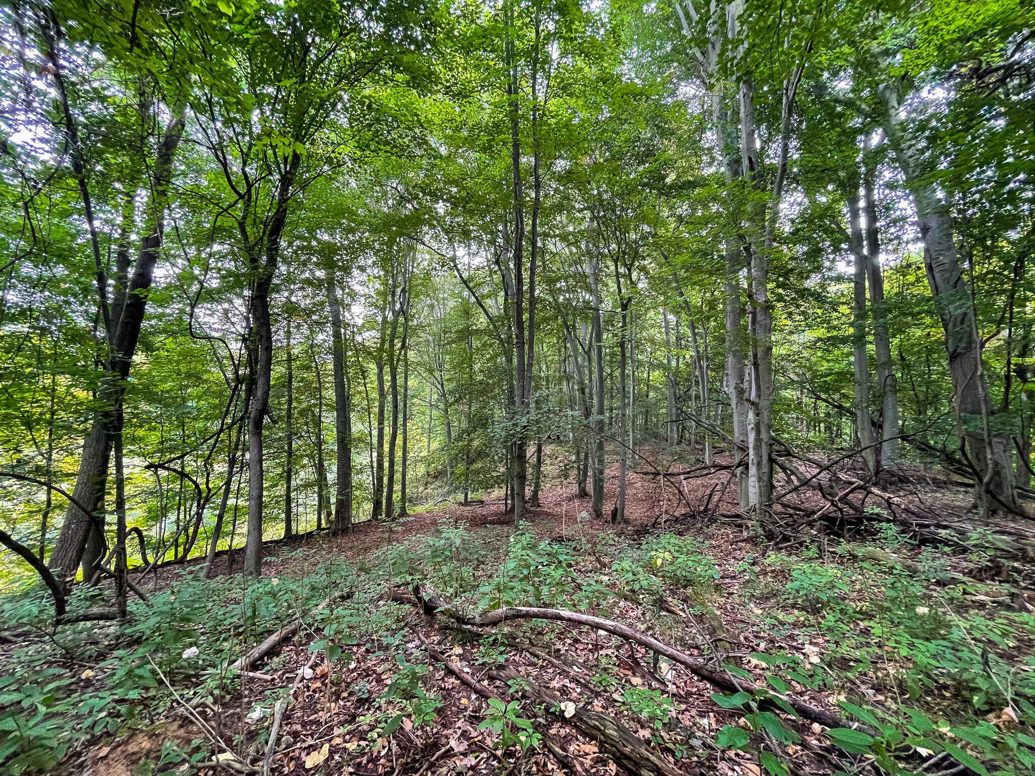 13ACRES 19th Street Hopkins MI 49328