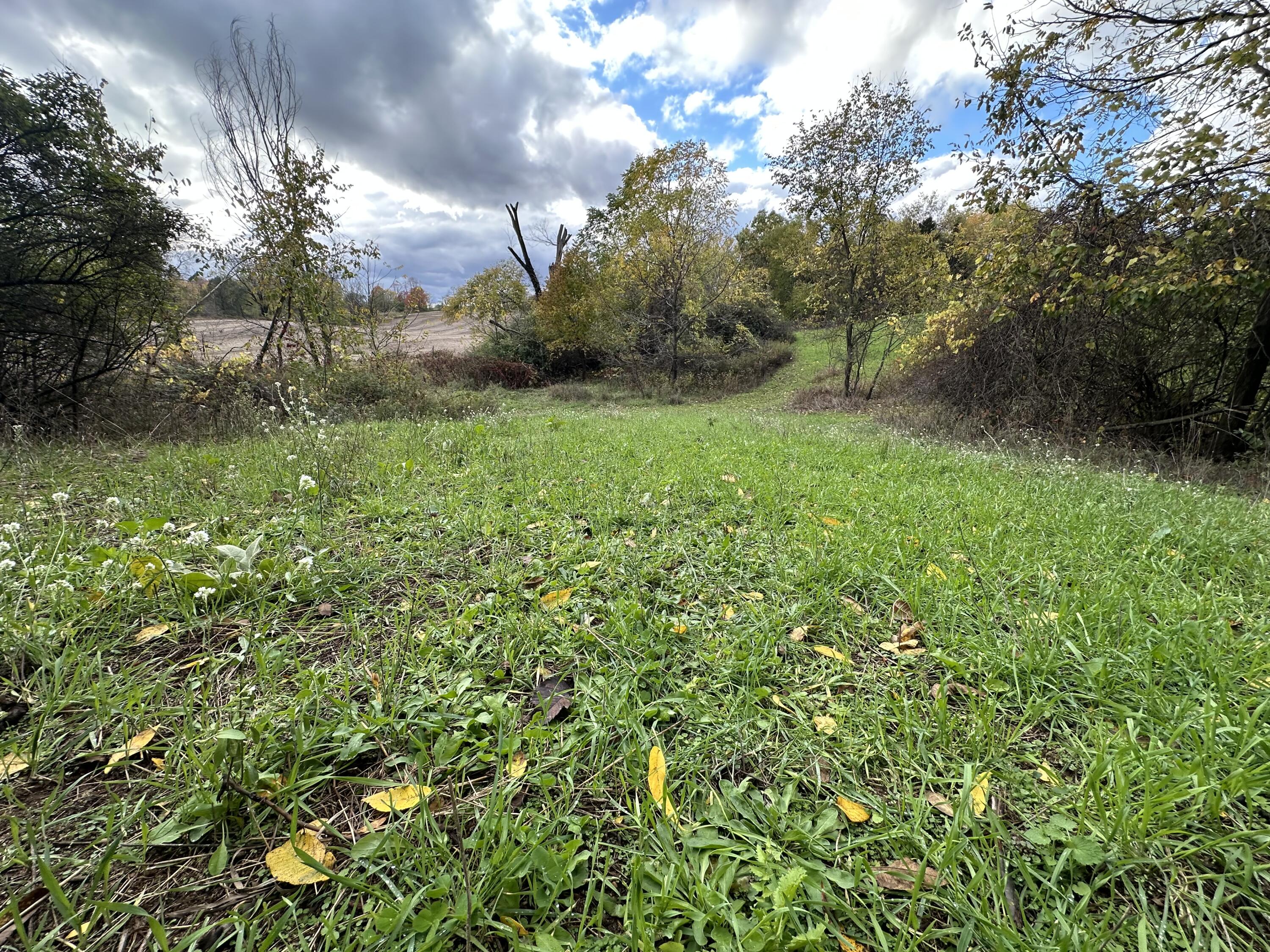 13ACRES 19th Street Hopkins MI 49328