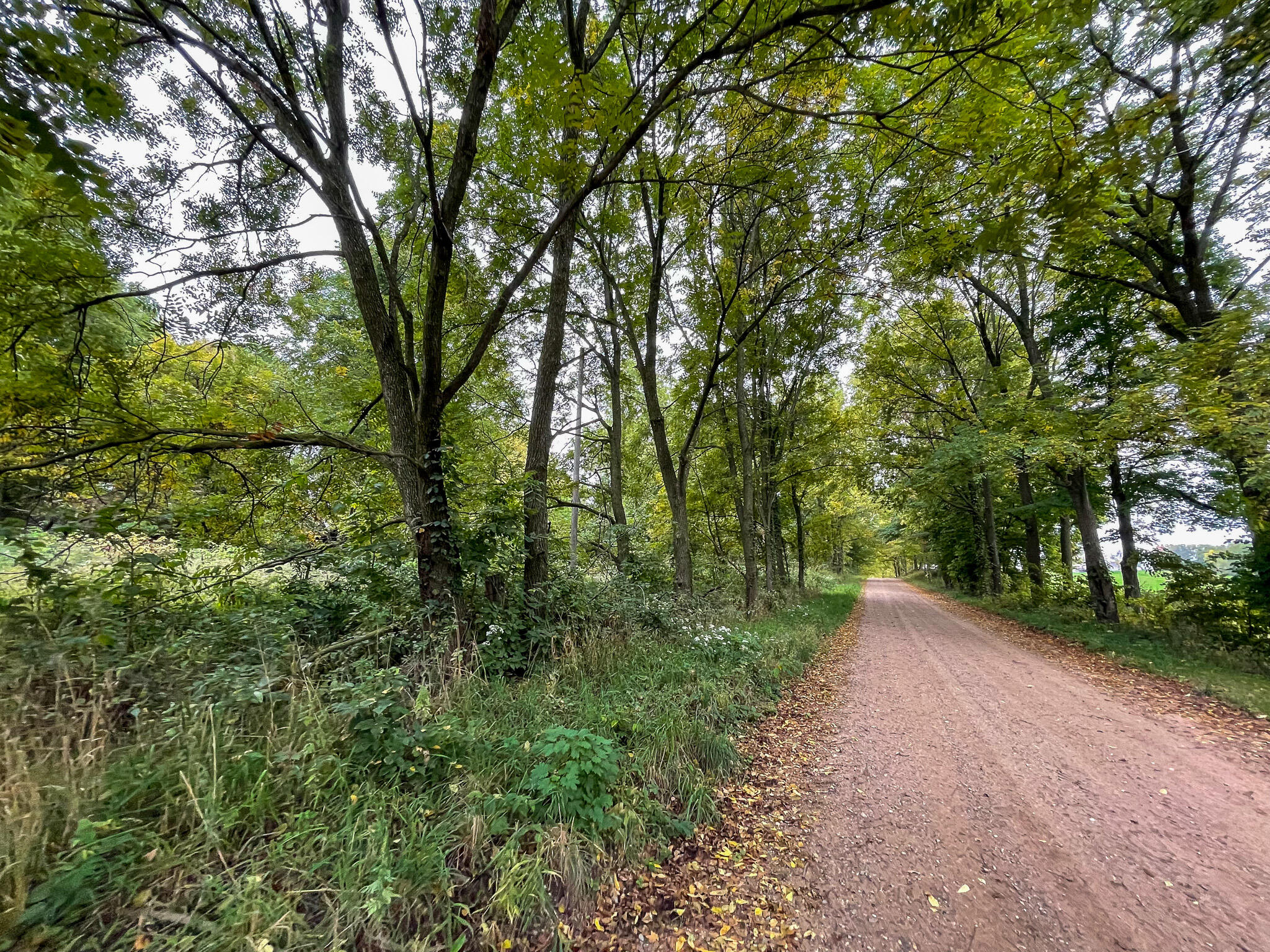 13ACRES 19th Street Hopkins MI 49328