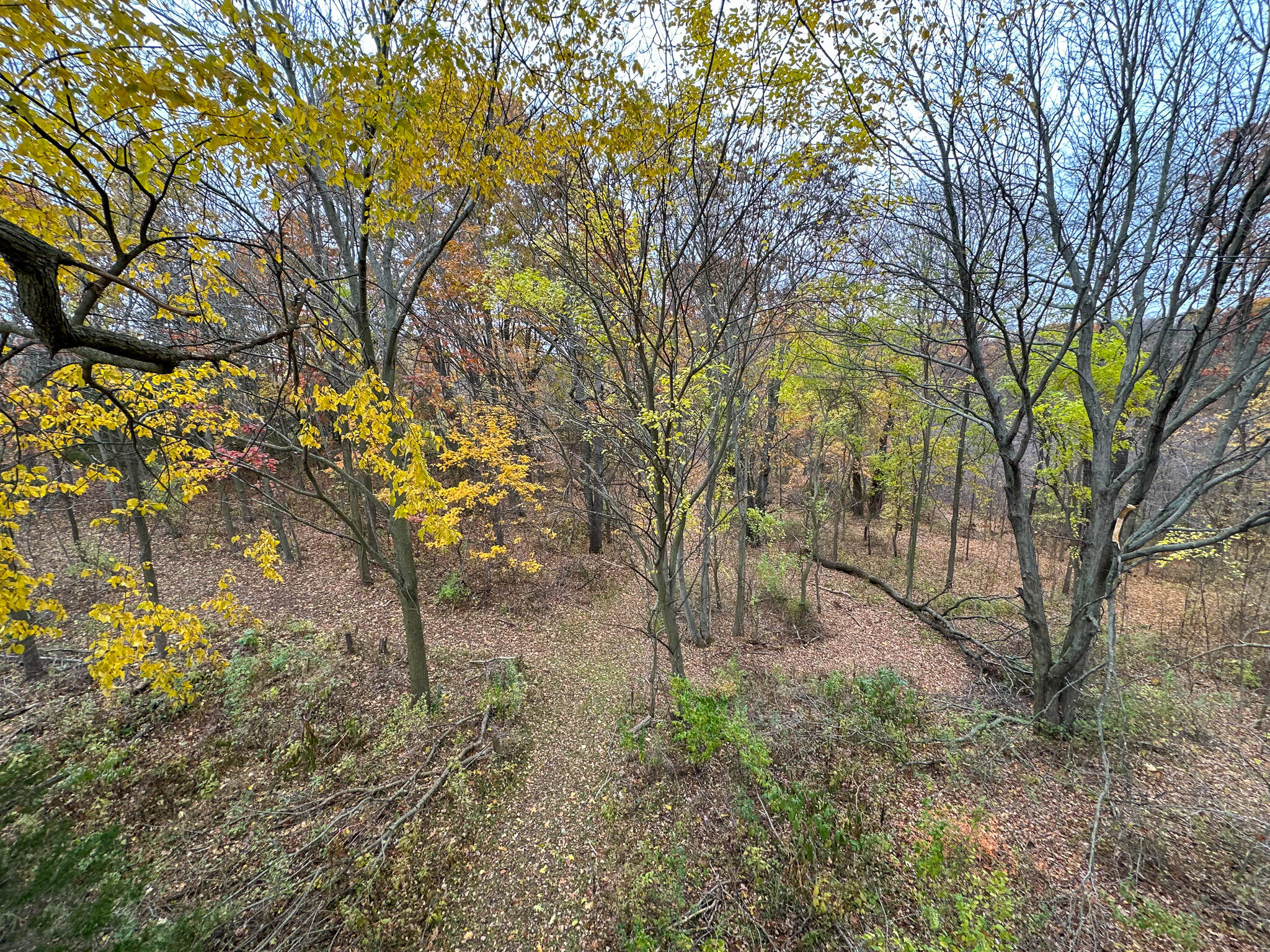 13ACRES 19th Street Hopkins MI 49328