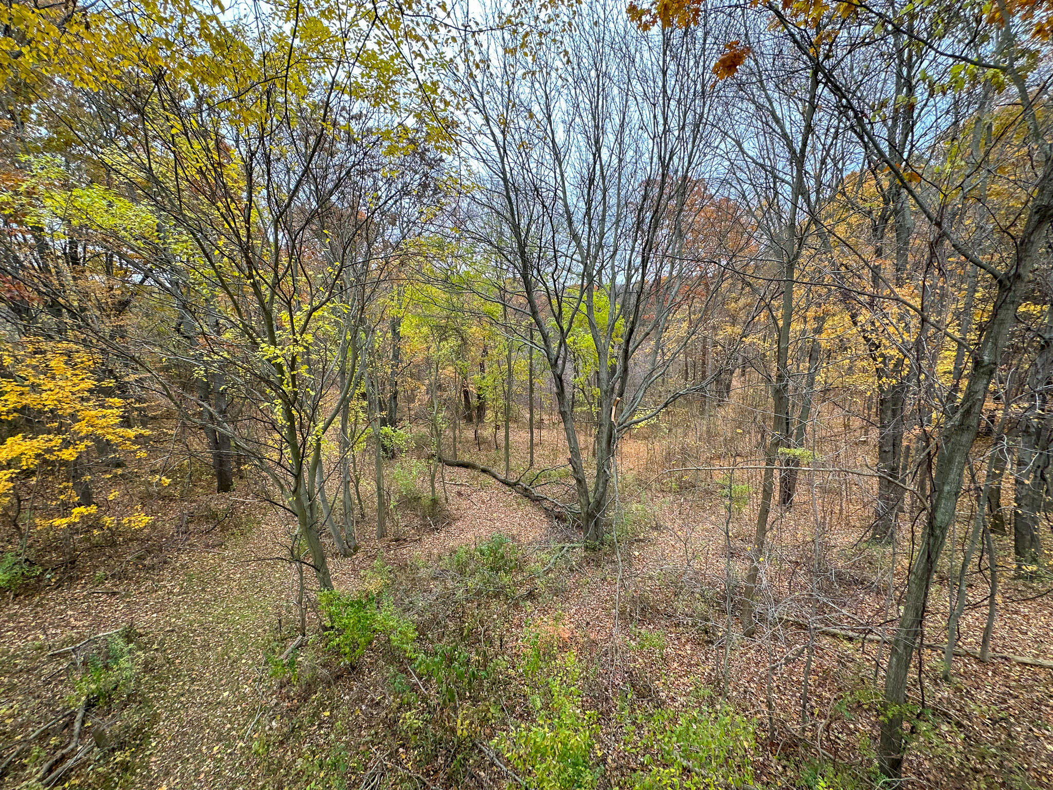 13ACRES 19th Street Hopkins MI 49328