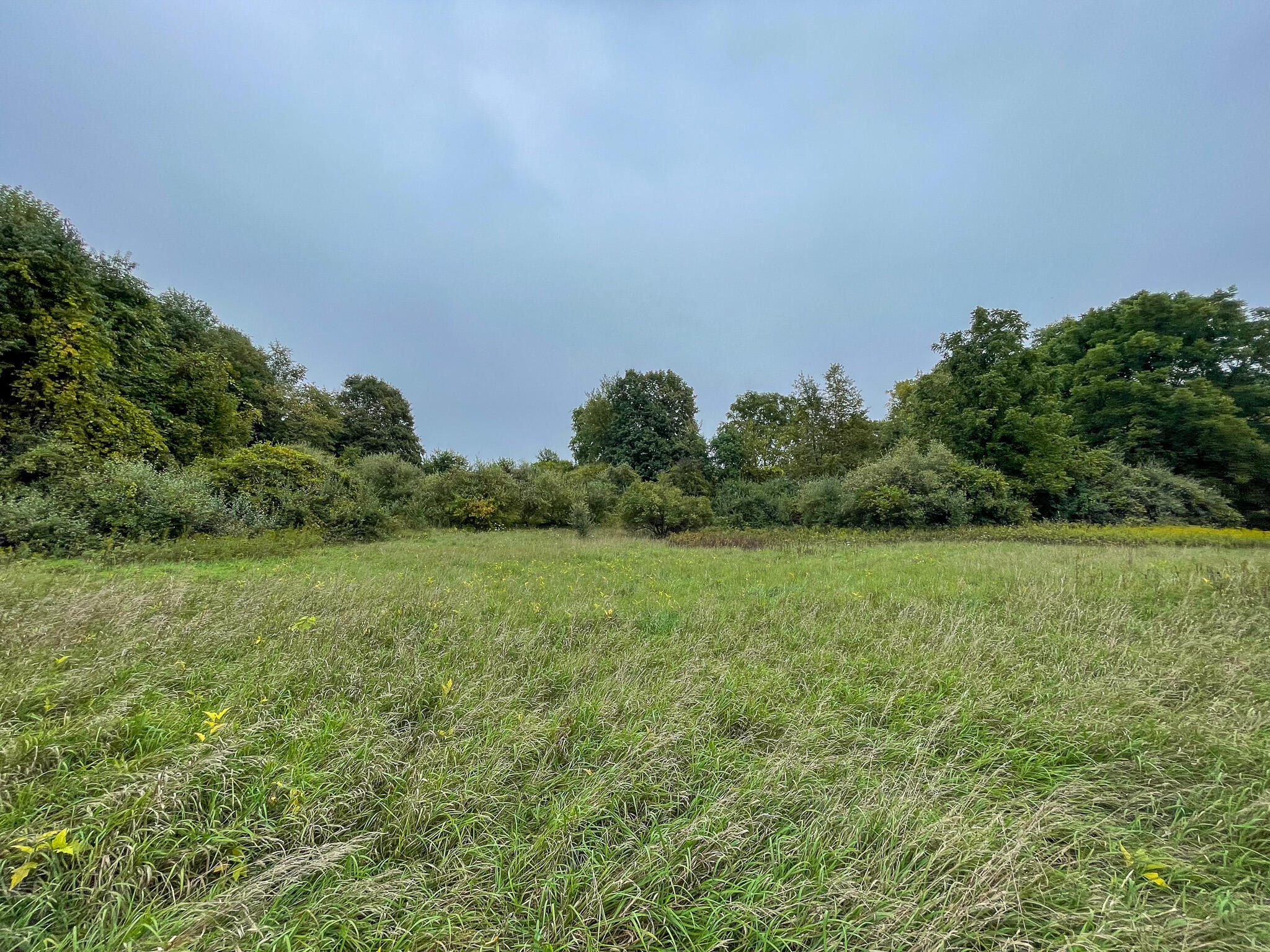 13ACRES 19th Street Hopkins MI 49328