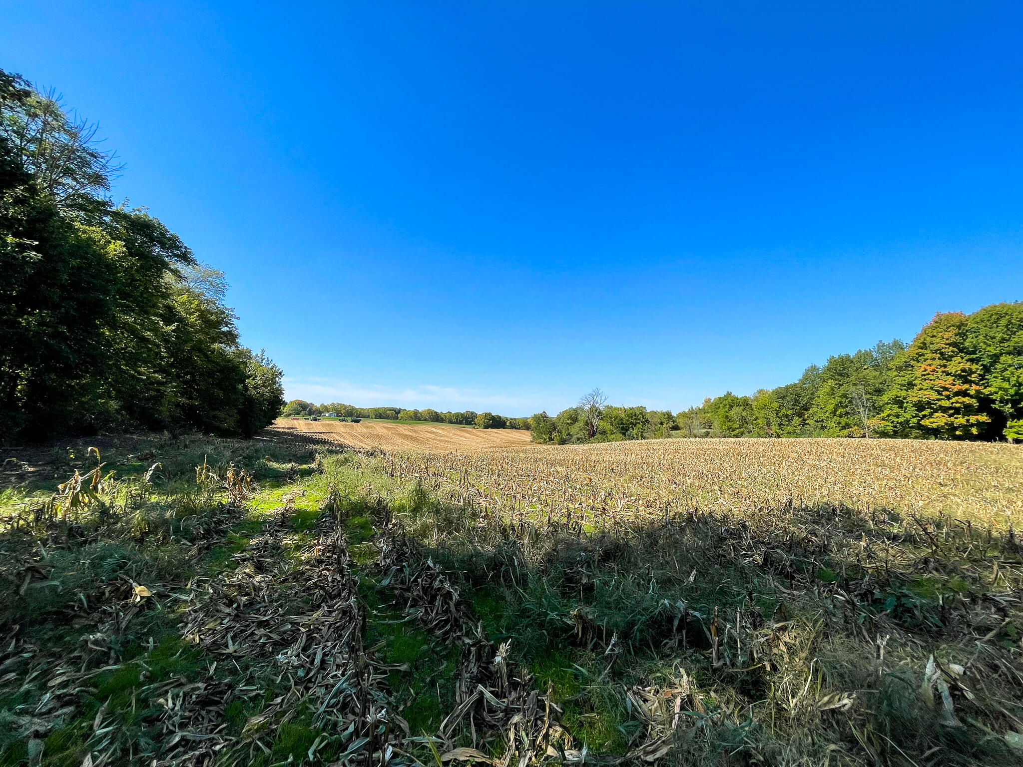 13ACRES 19th Street Hopkins MI 49328