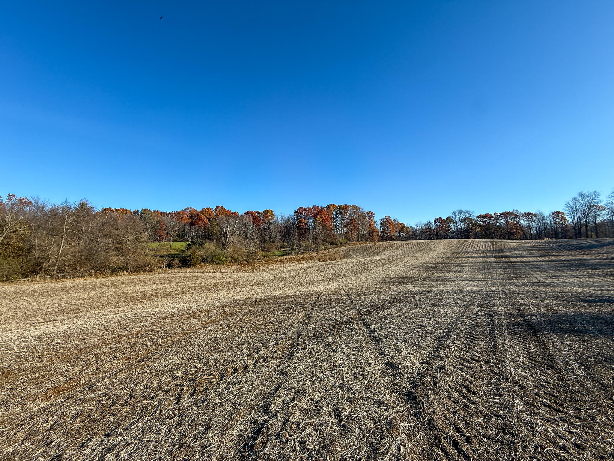 13ACRES 19th Street Hopkins MI 49328