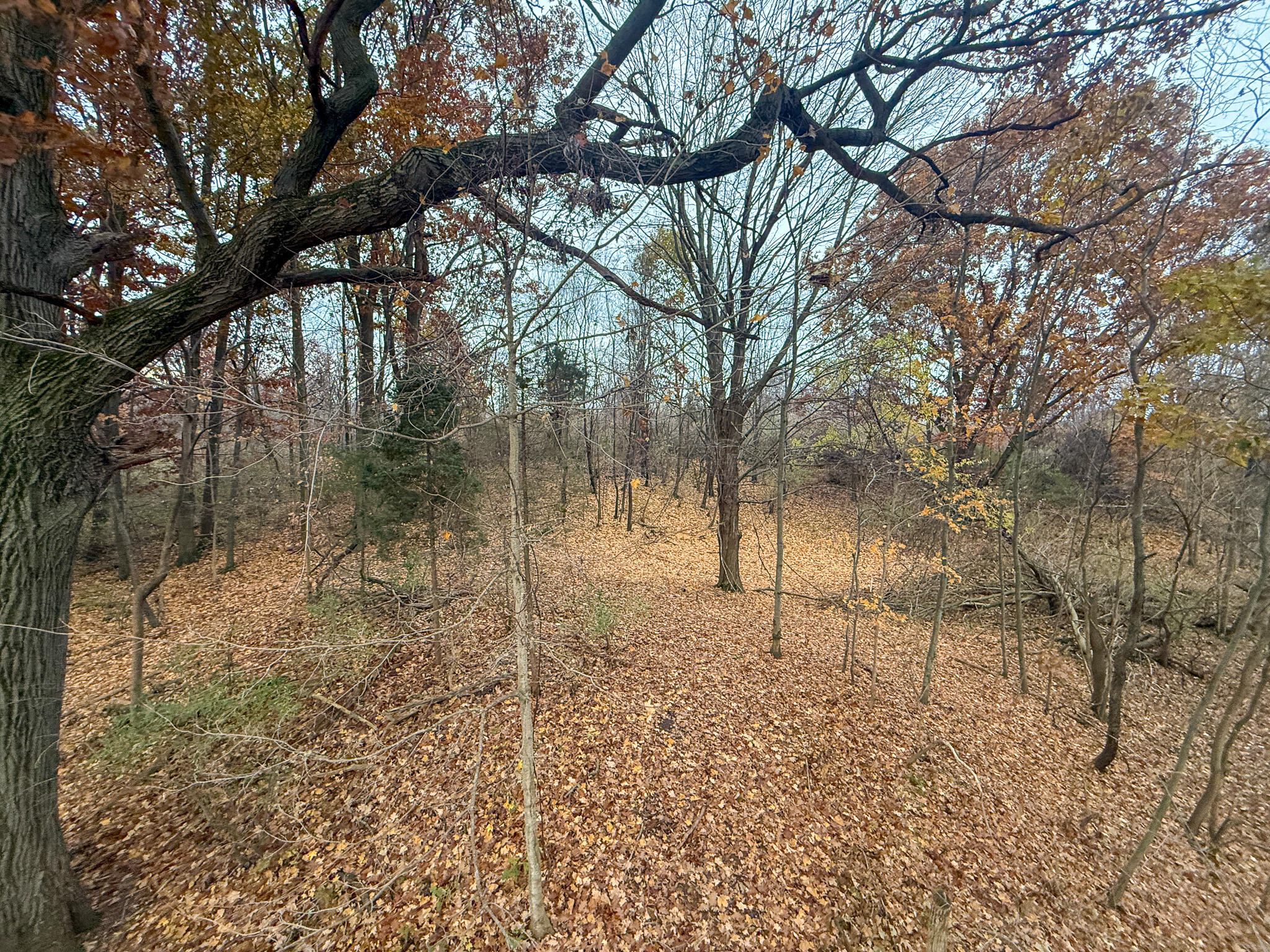 13ACRES 19th Street Hopkins MI 49328
