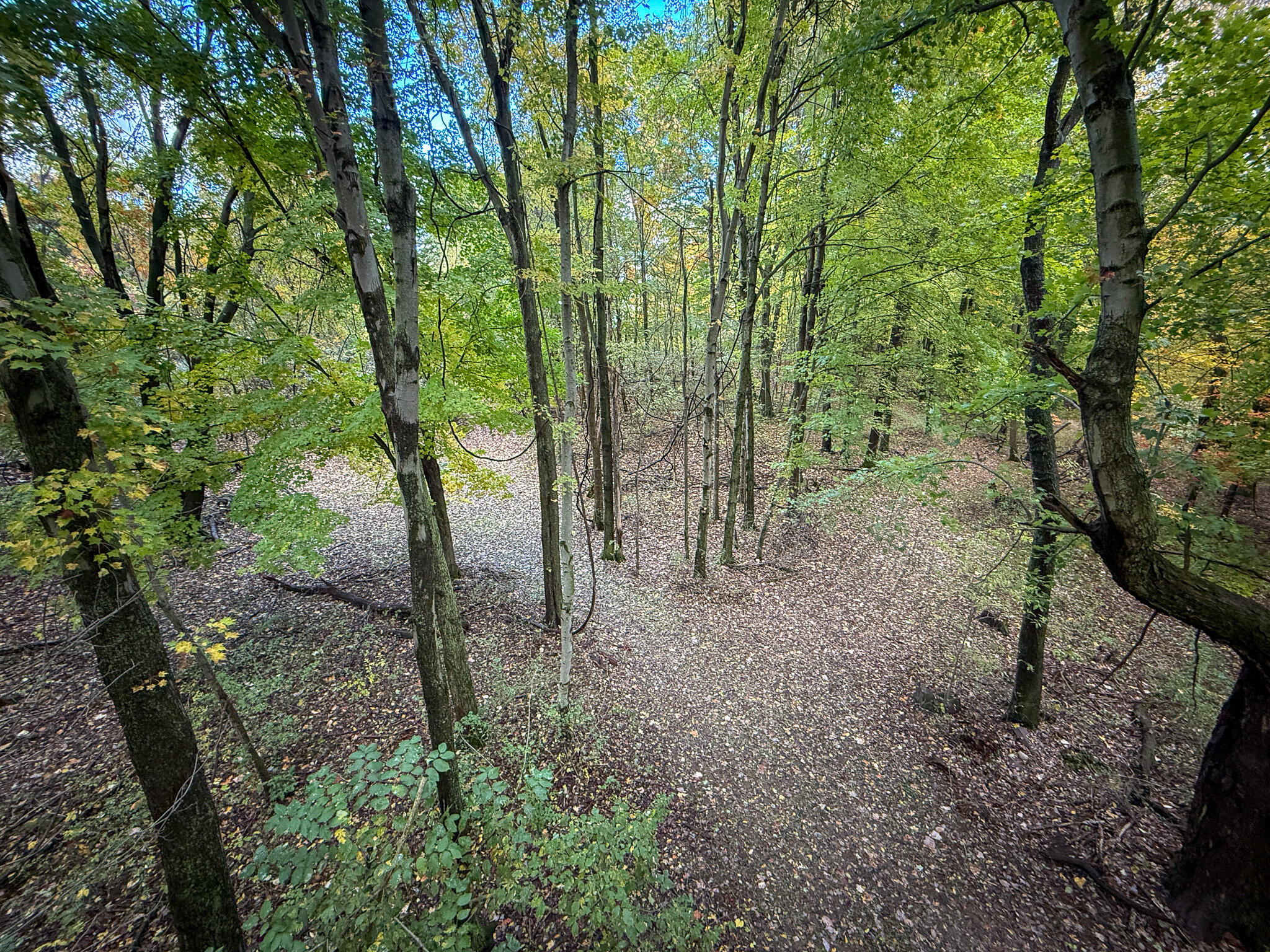 13ACRES 19th Street Hopkins MI 49328