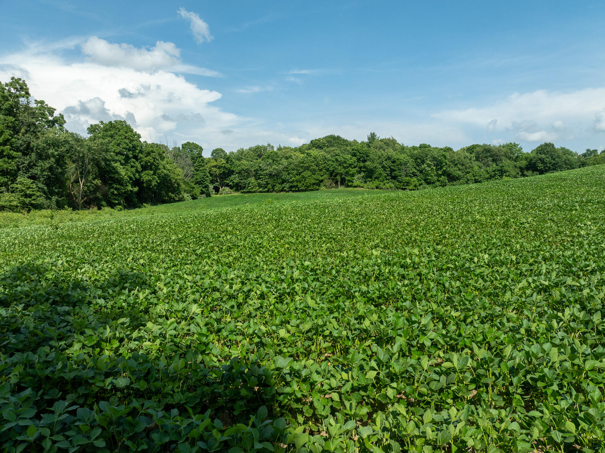 13ACRES 19th Street Hopkins MI 49328